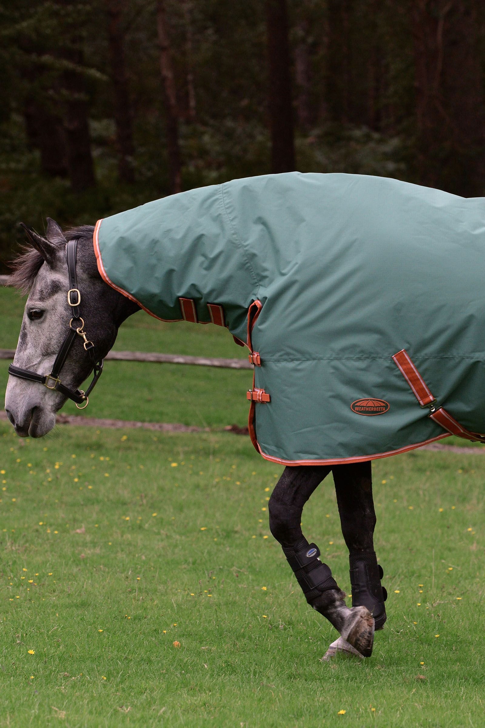 Weatherbeeta Comfitec Tyro Combo Neck Lite Plus Horse Rugs