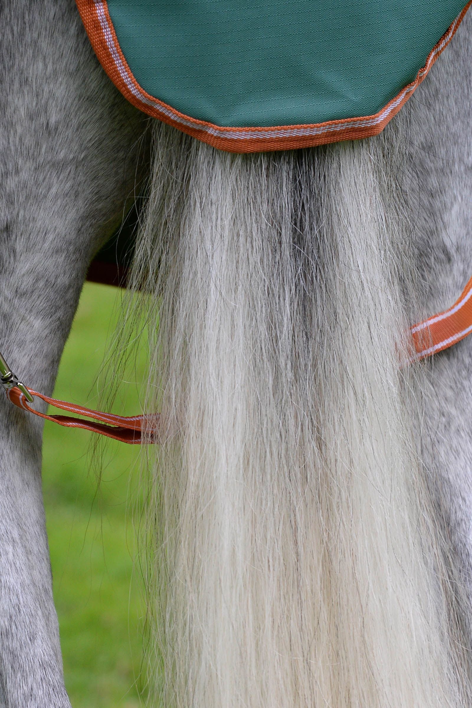 Weatherbeeta Comfitec Tyro Combo Neck Lite Plus Horse Rugs