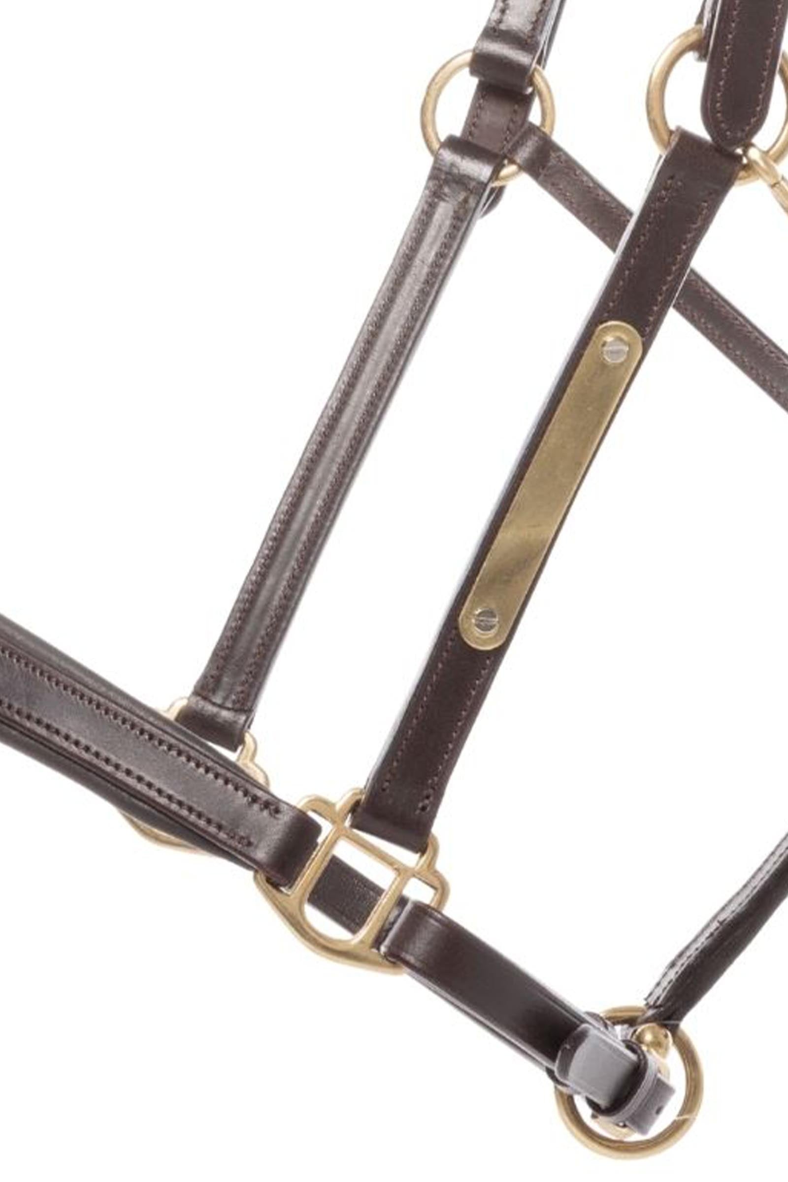 Kavalkade Bennet Leather Halter Halters & Leads