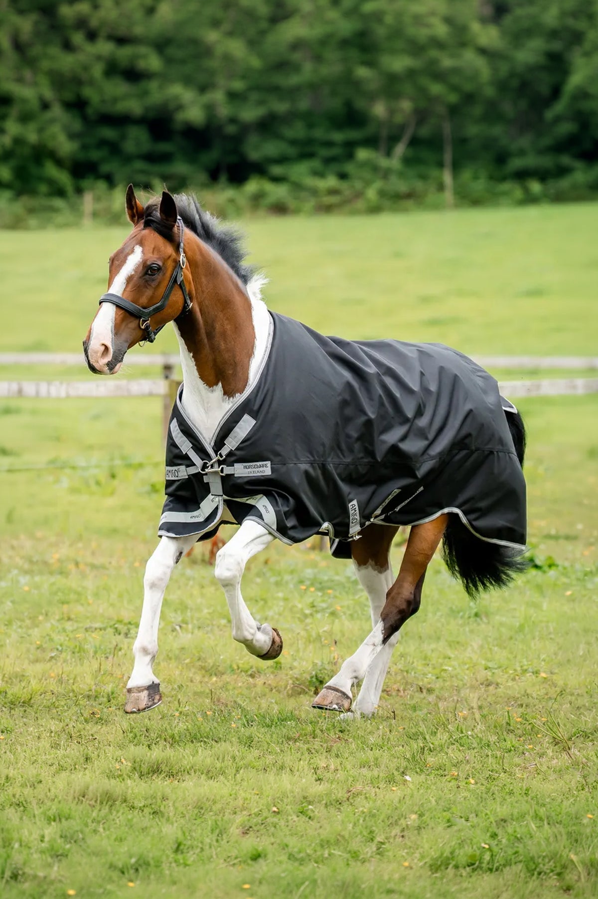 Horseware Amigo 1200D Turnout Rug, 0 g Horse Rugs