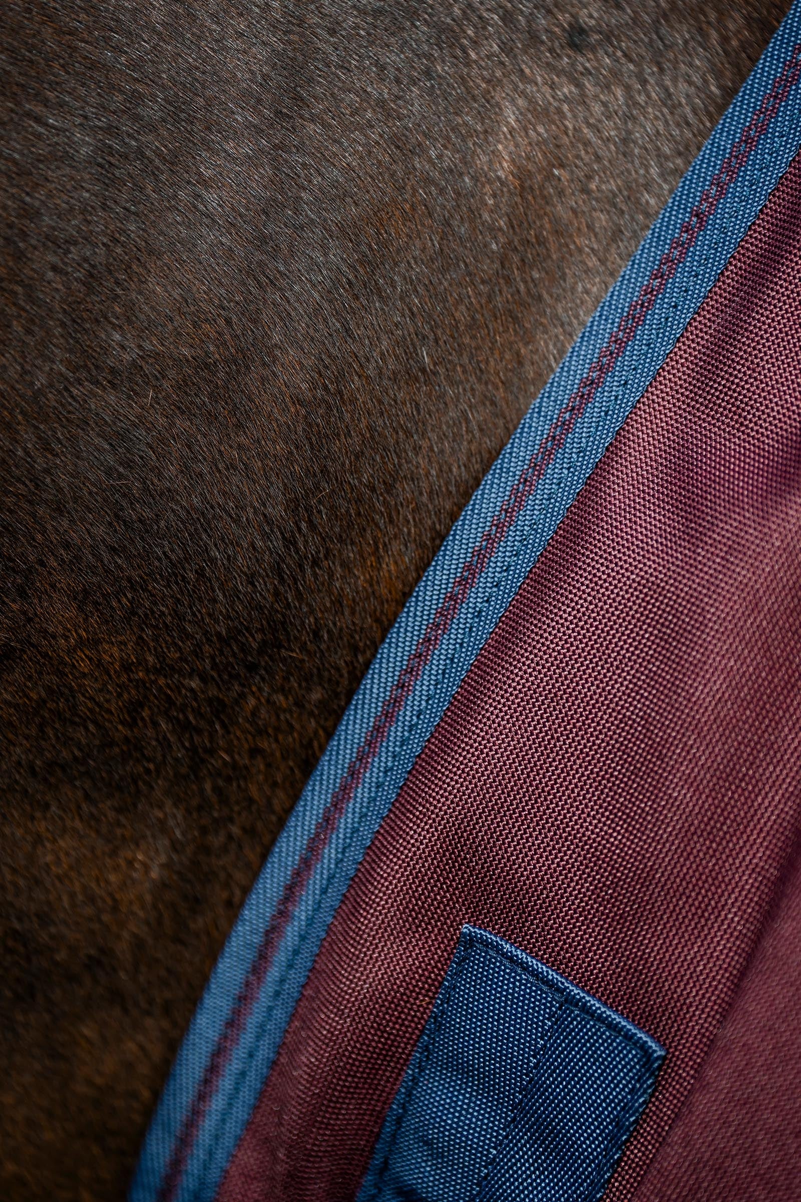 Lifestyle shot 9