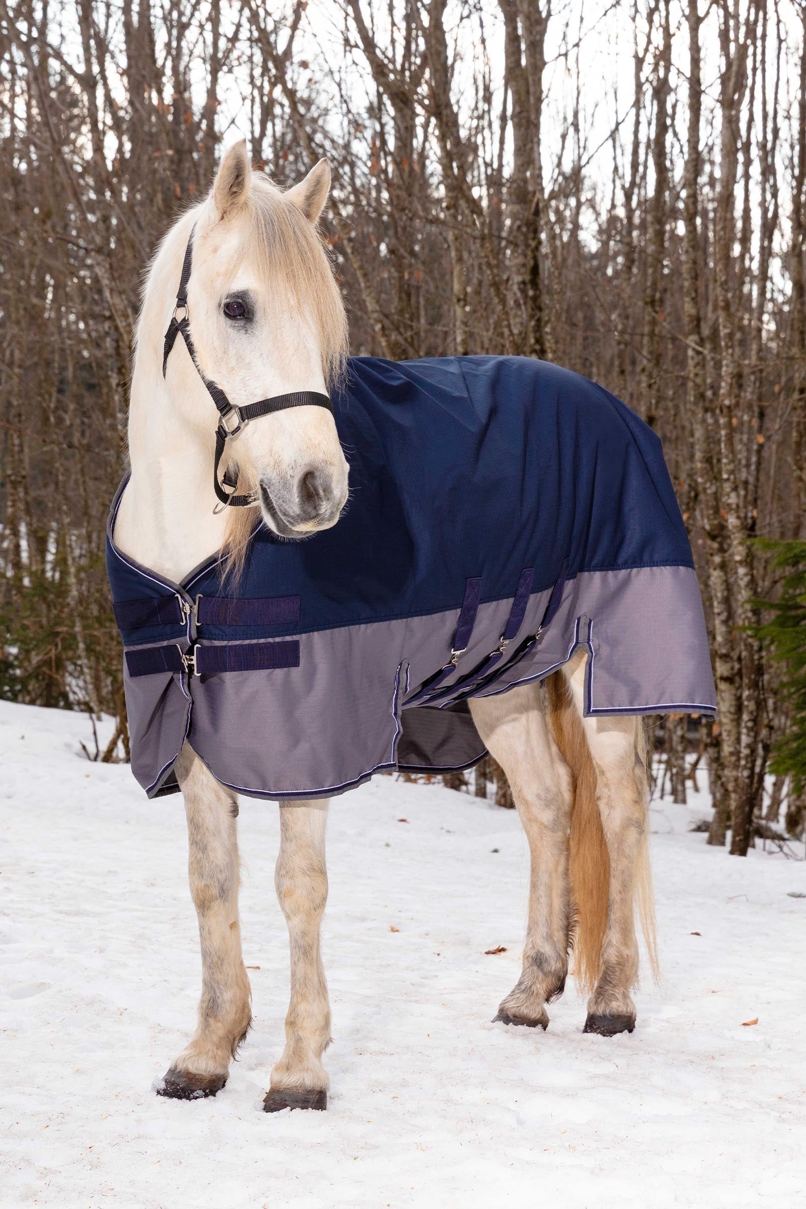 Equi Theme EQUITHÈME TYREX 600D Turnout Rug With Belly Flap, 300 g Horse Rugs