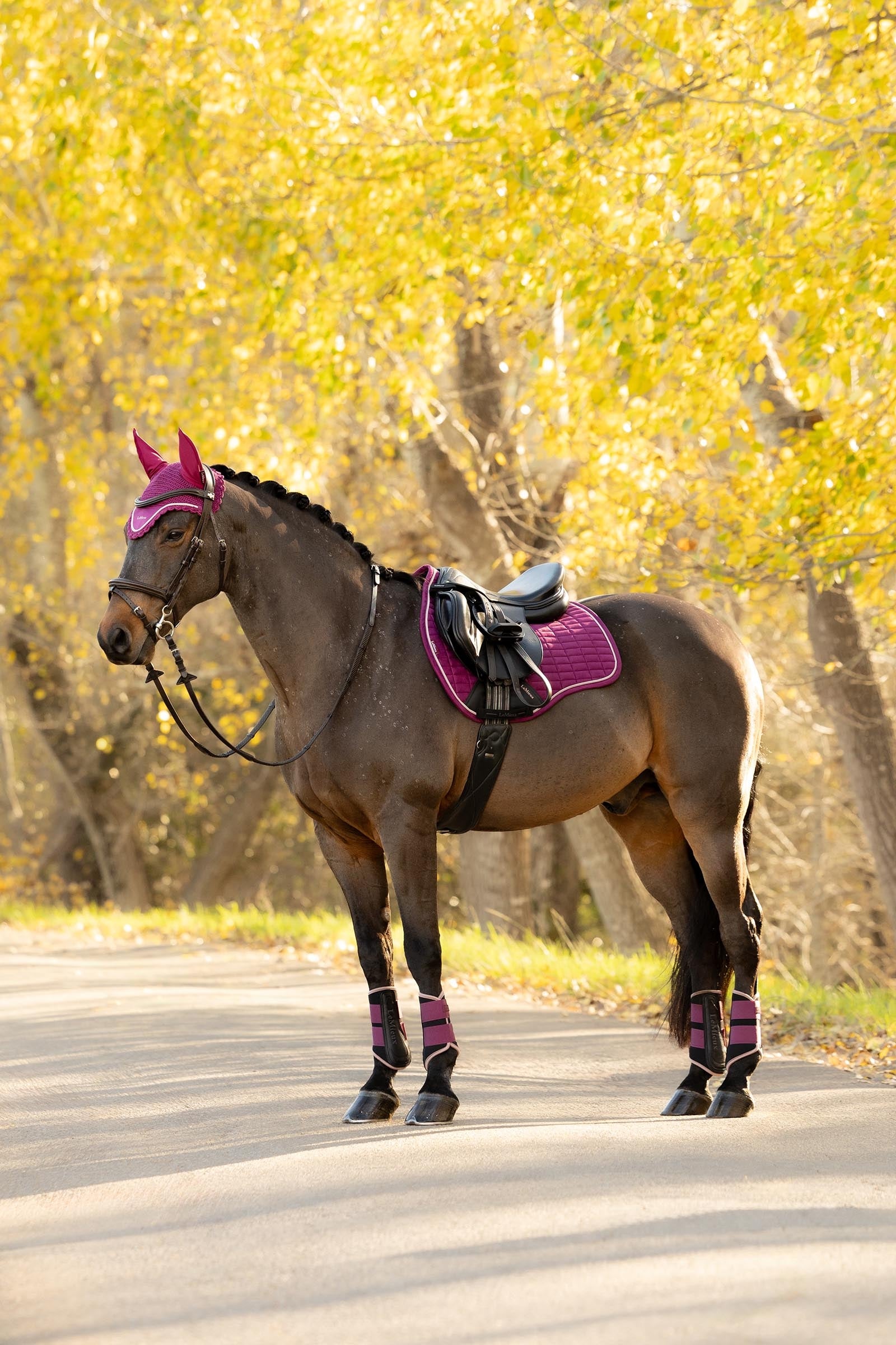 LeMieux Suede GP Square Saddle Pads