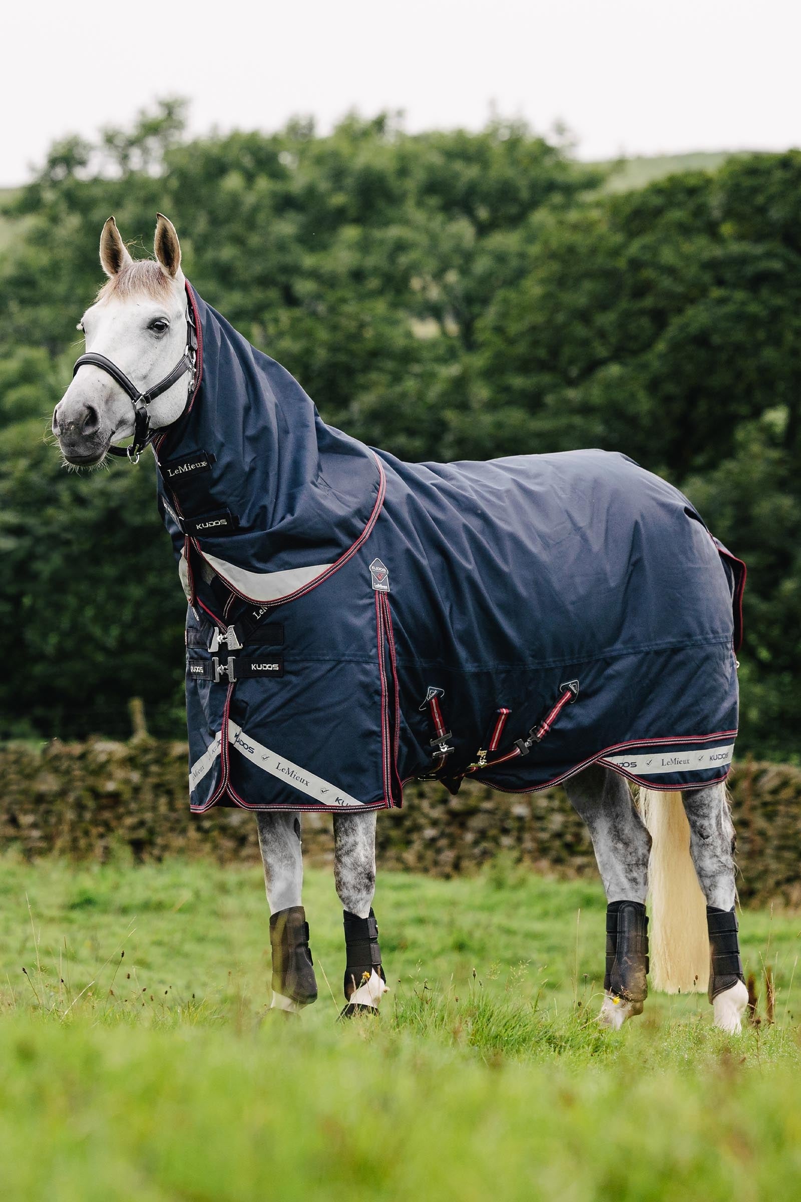 LeMieux Kudos Lightweight Turnout Rug, 50 g Horse Rugs