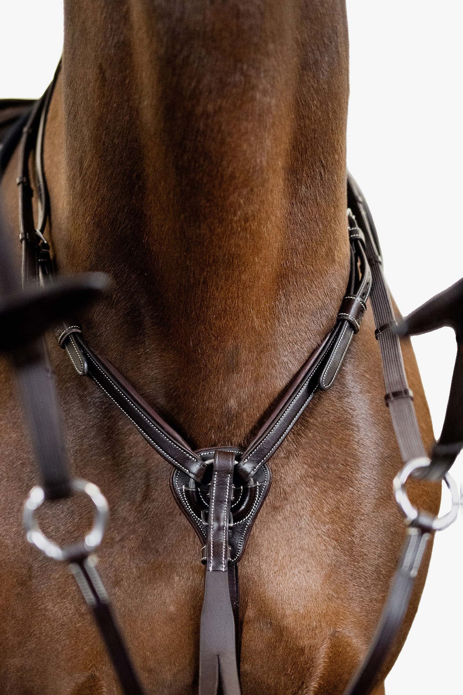 PS of Sweden Seoul Martingale Bridles & Reins