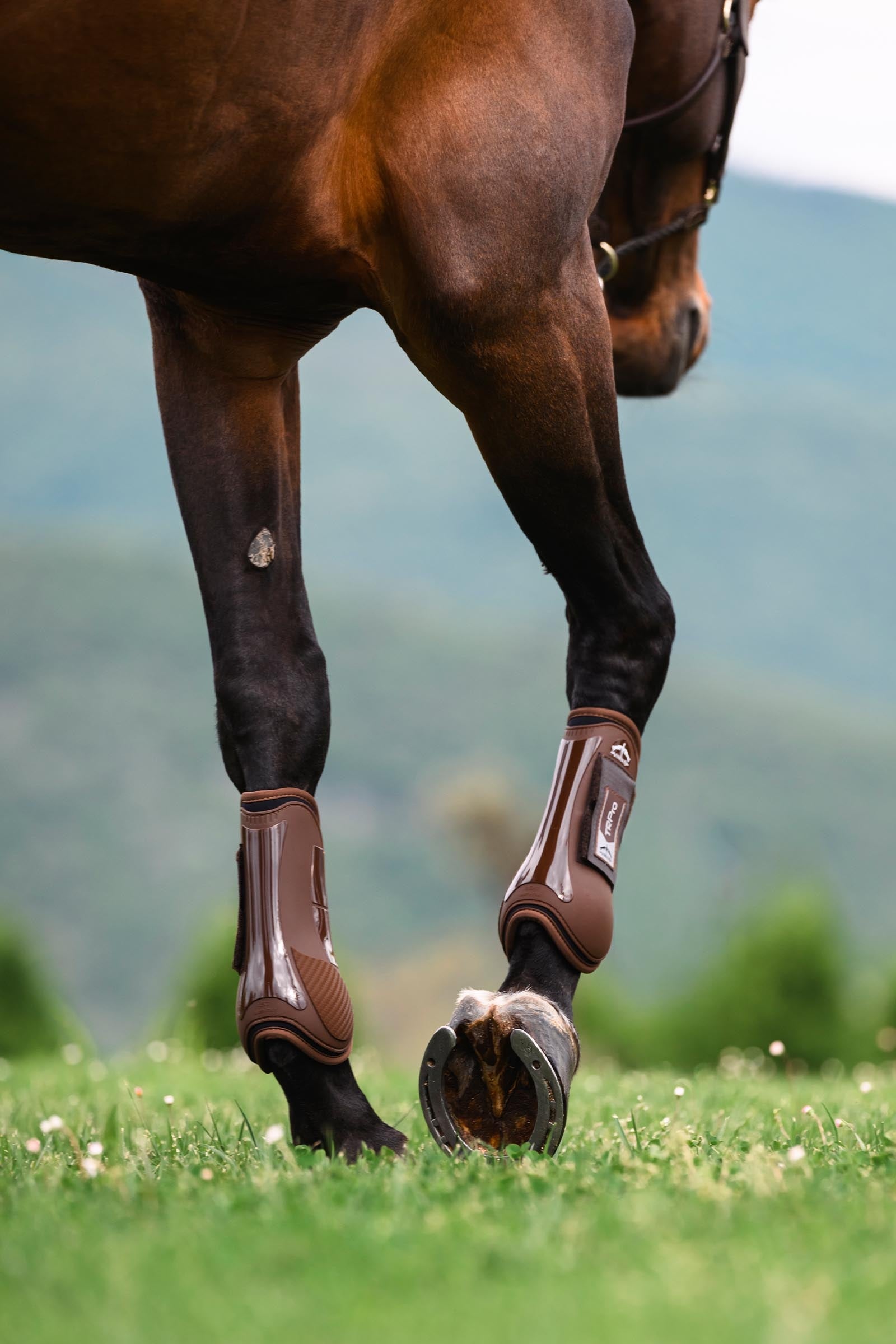 Veredus TR PRO Front Tendon Boots Leg & Hoof Protection