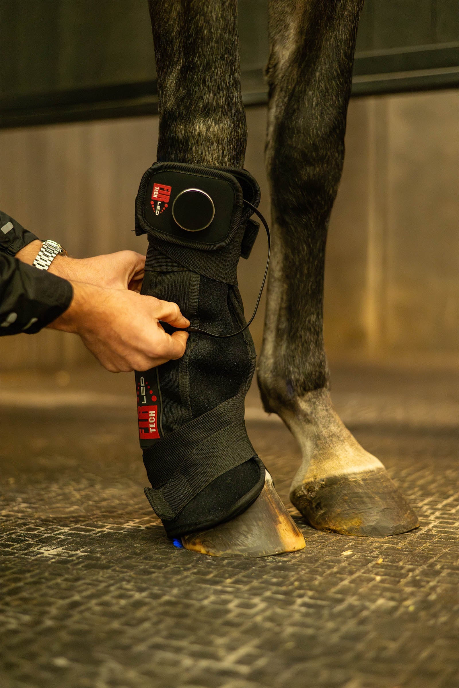 Catago CATAGO FIR-Tech LED Therapy pad Q27 Horse Rugs