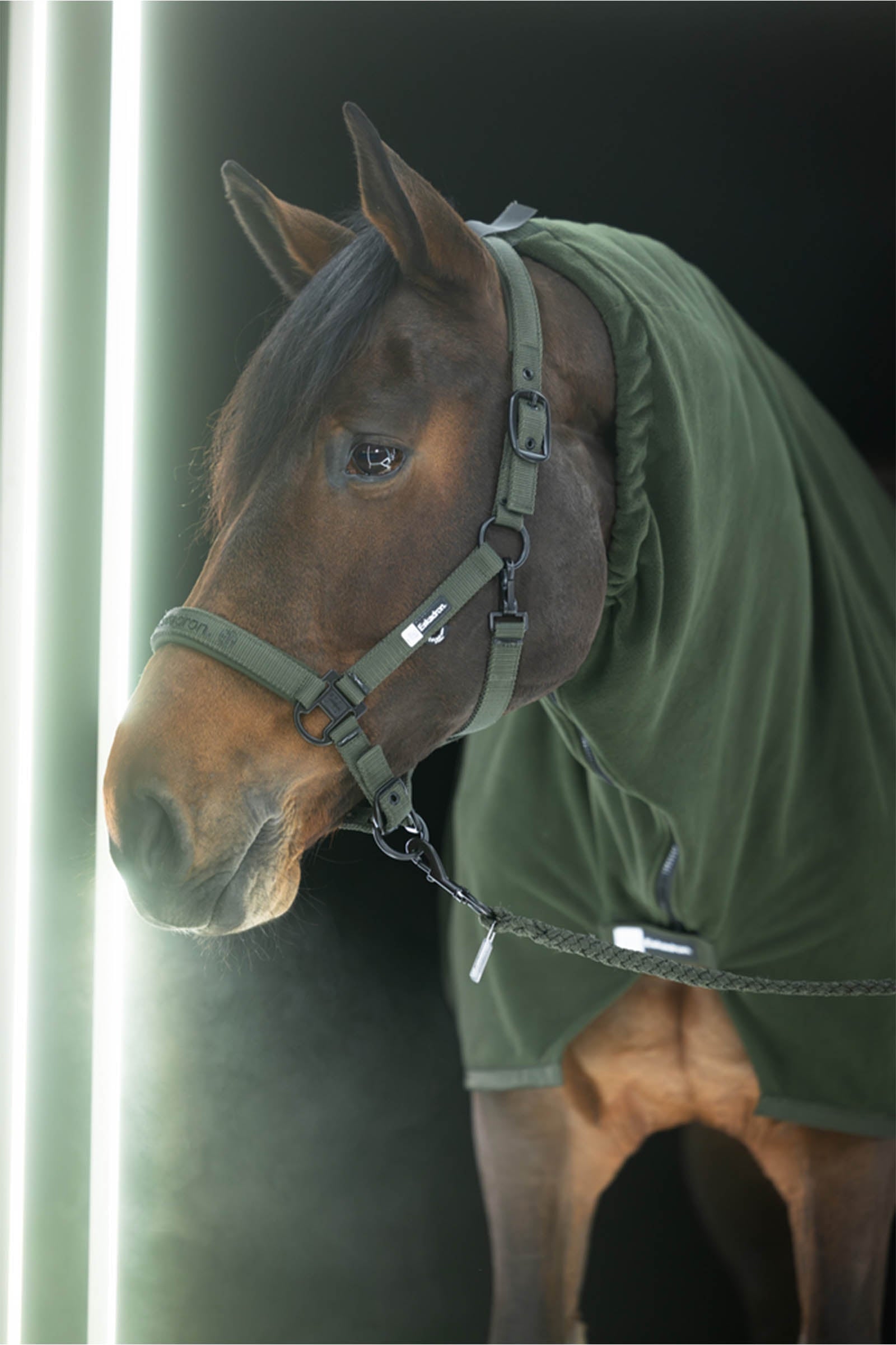 Eskadron Dynamics AW25 Double Pin Headcollar Halters & Leads