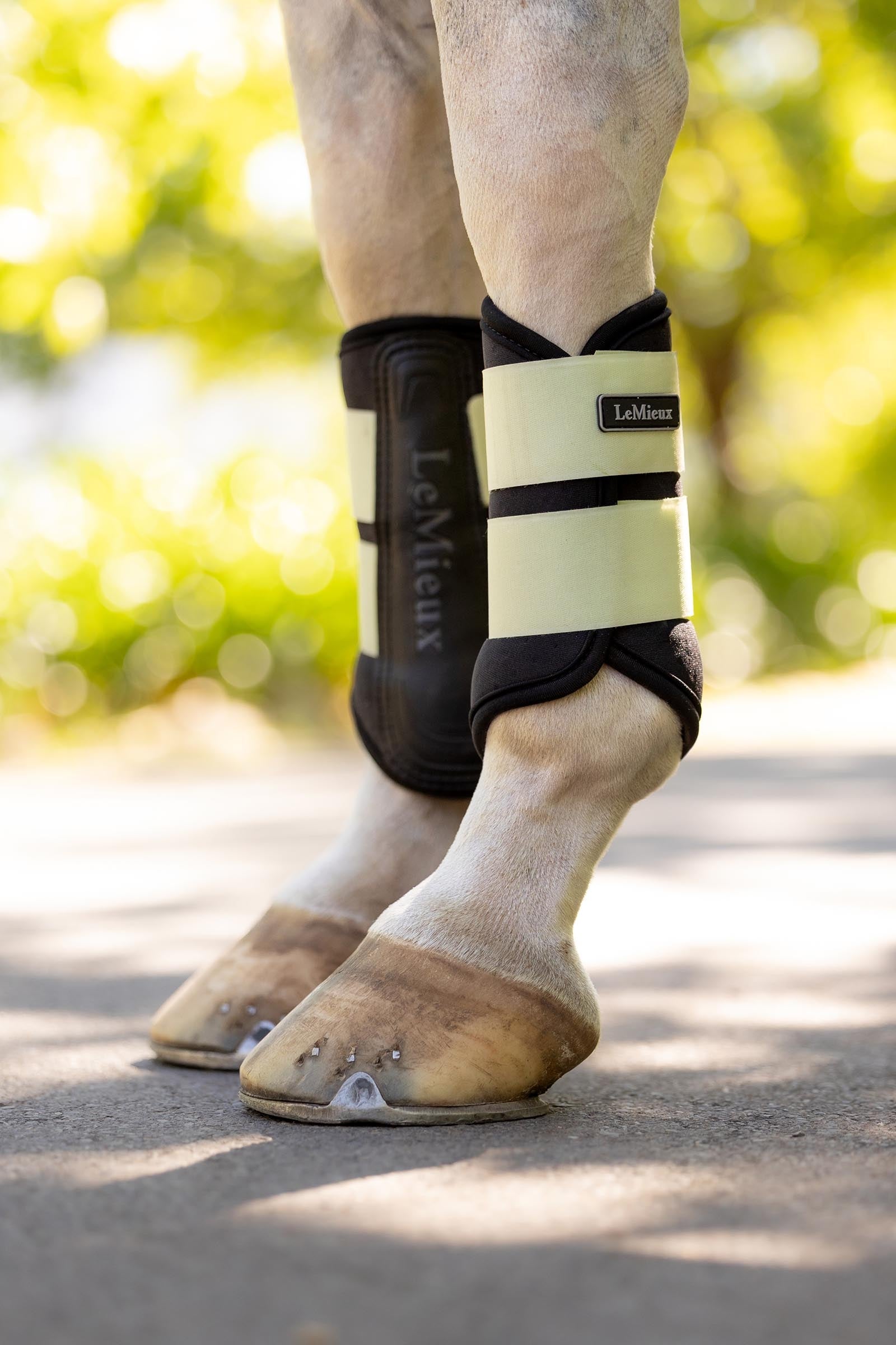 LeMieux Air-Tek Grafter Brushing Boots Leg & Hoof Protection