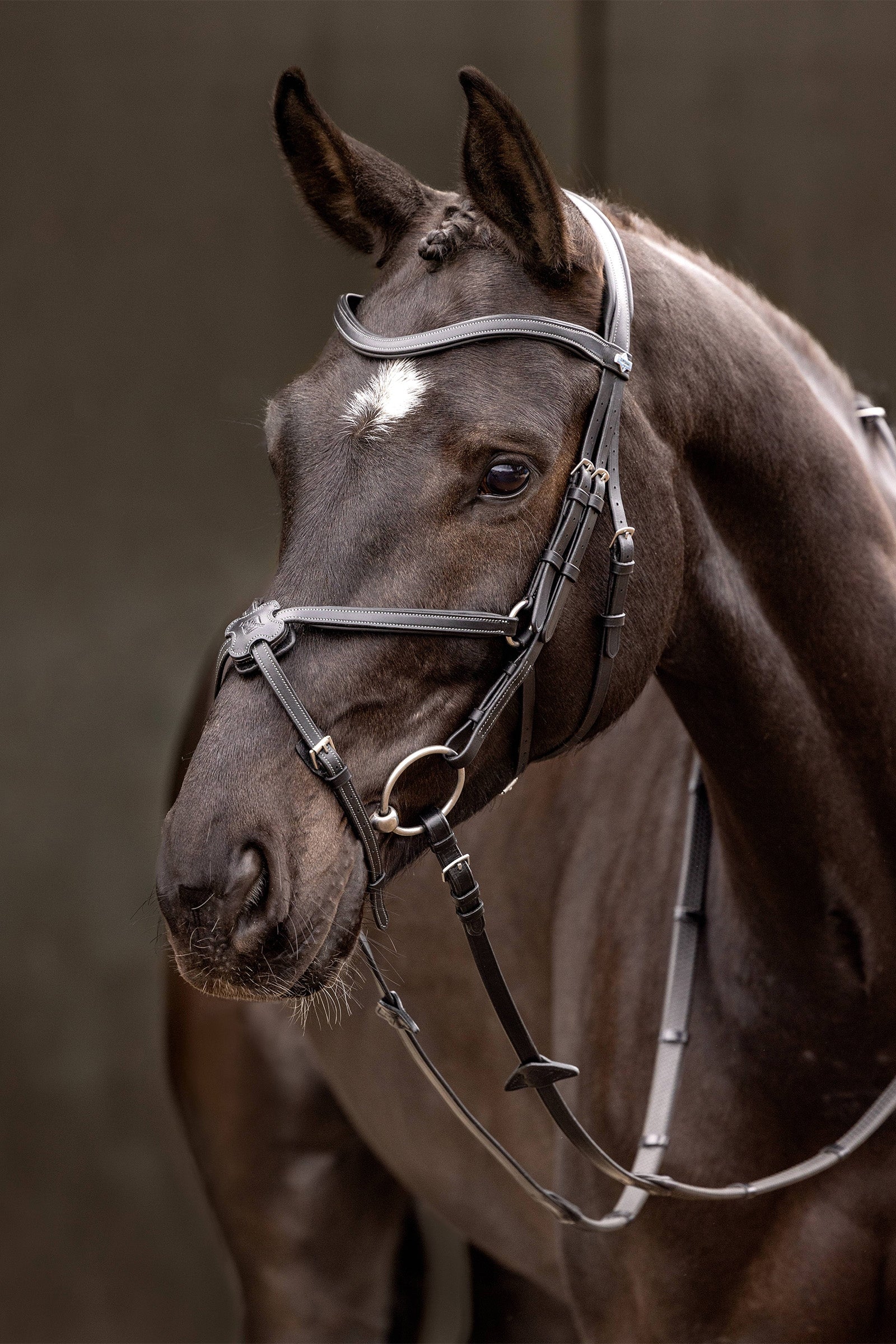 LeMieux Arika Grackle Bridle Bridles & Reins