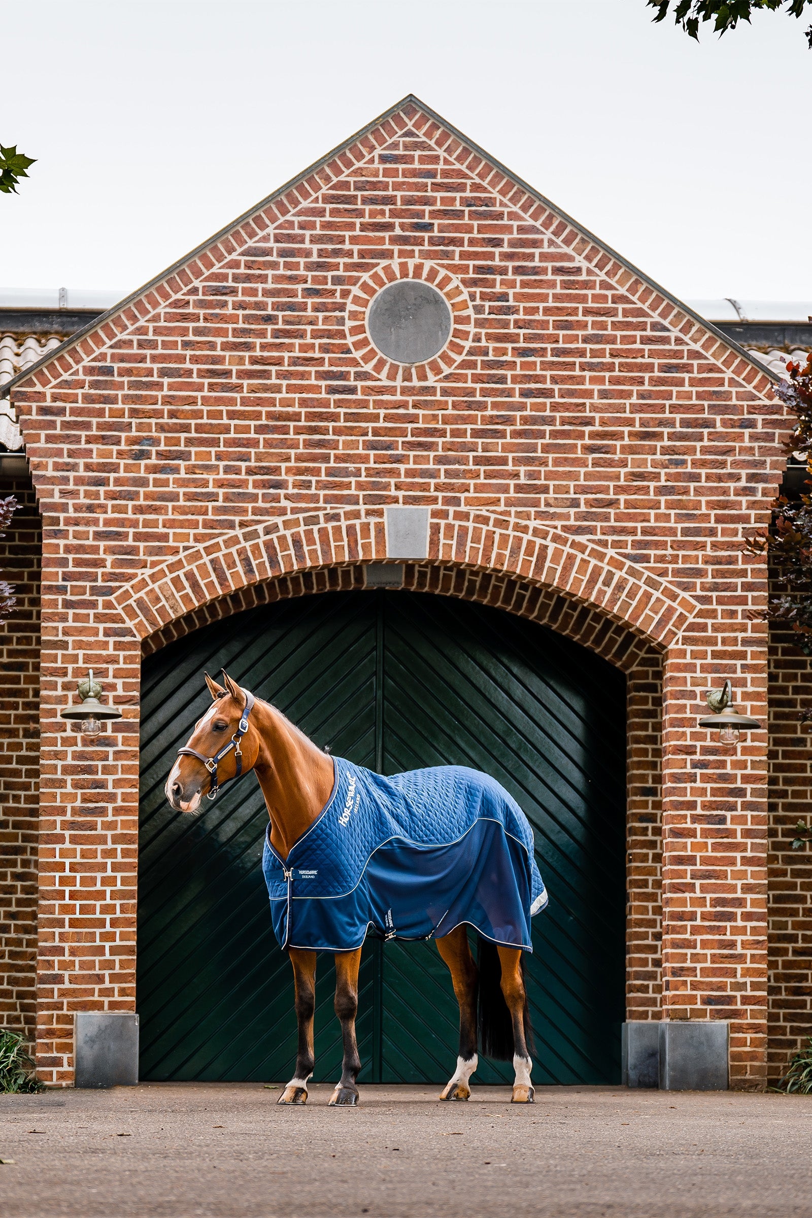 Horseware Signature Series Travel Rug, 50g Horse Rugs