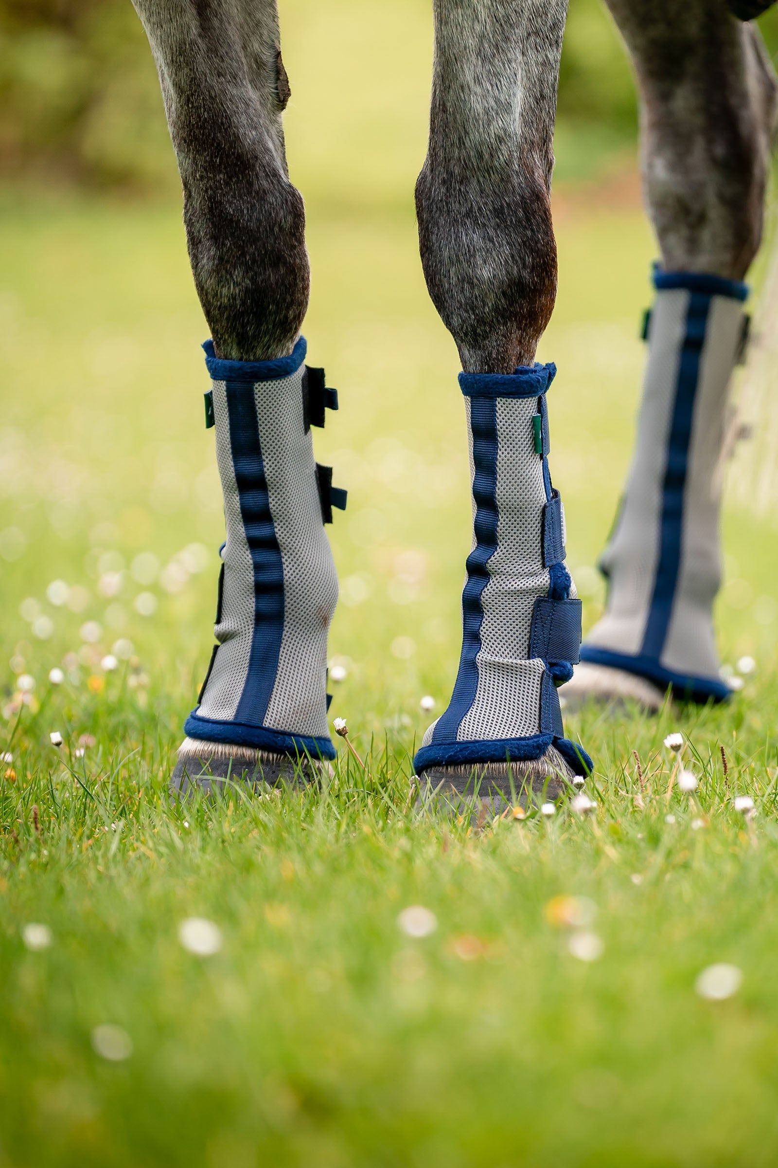 Horseware Fly Boots - set of 2 Antifly Protection for Horses