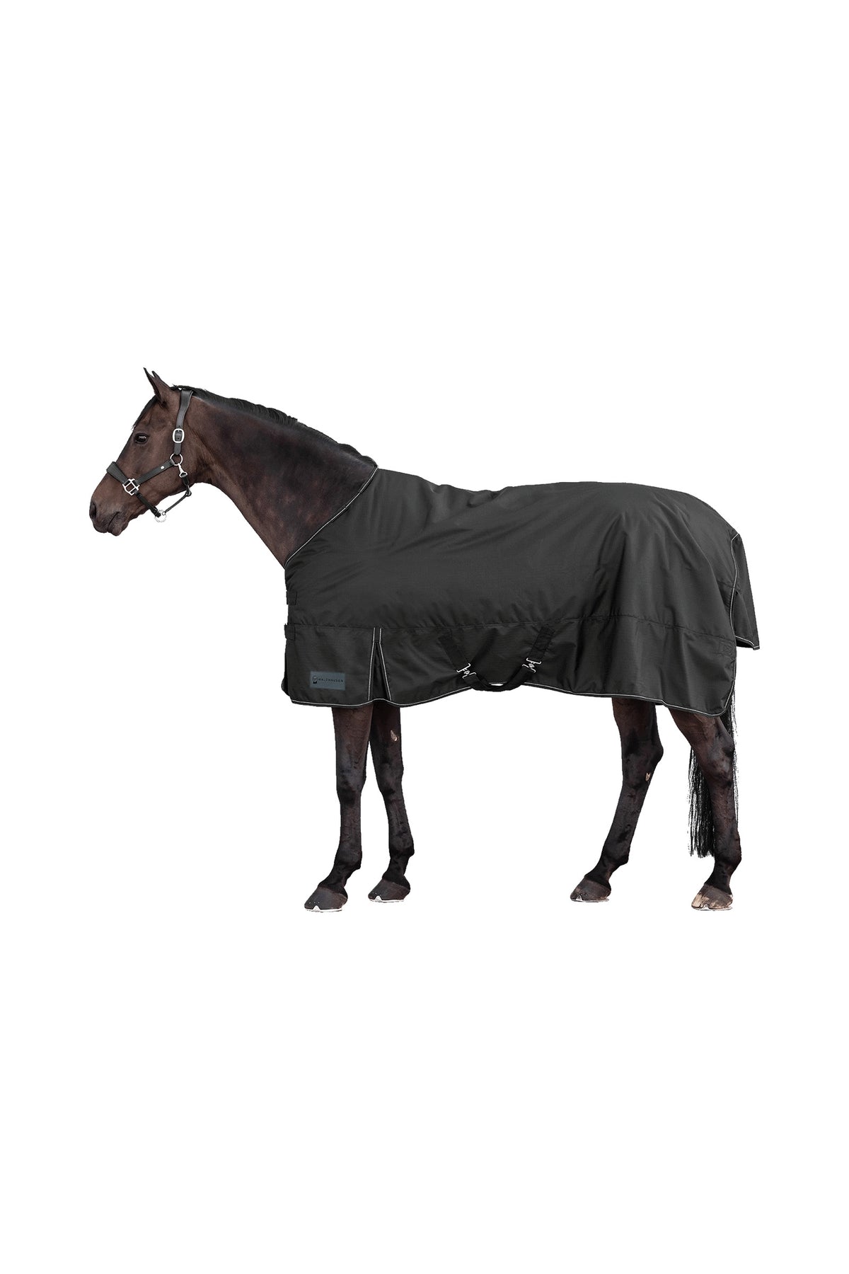 Waldhausen NORDIC 600D Light Outdoor Rug Horse Rugs