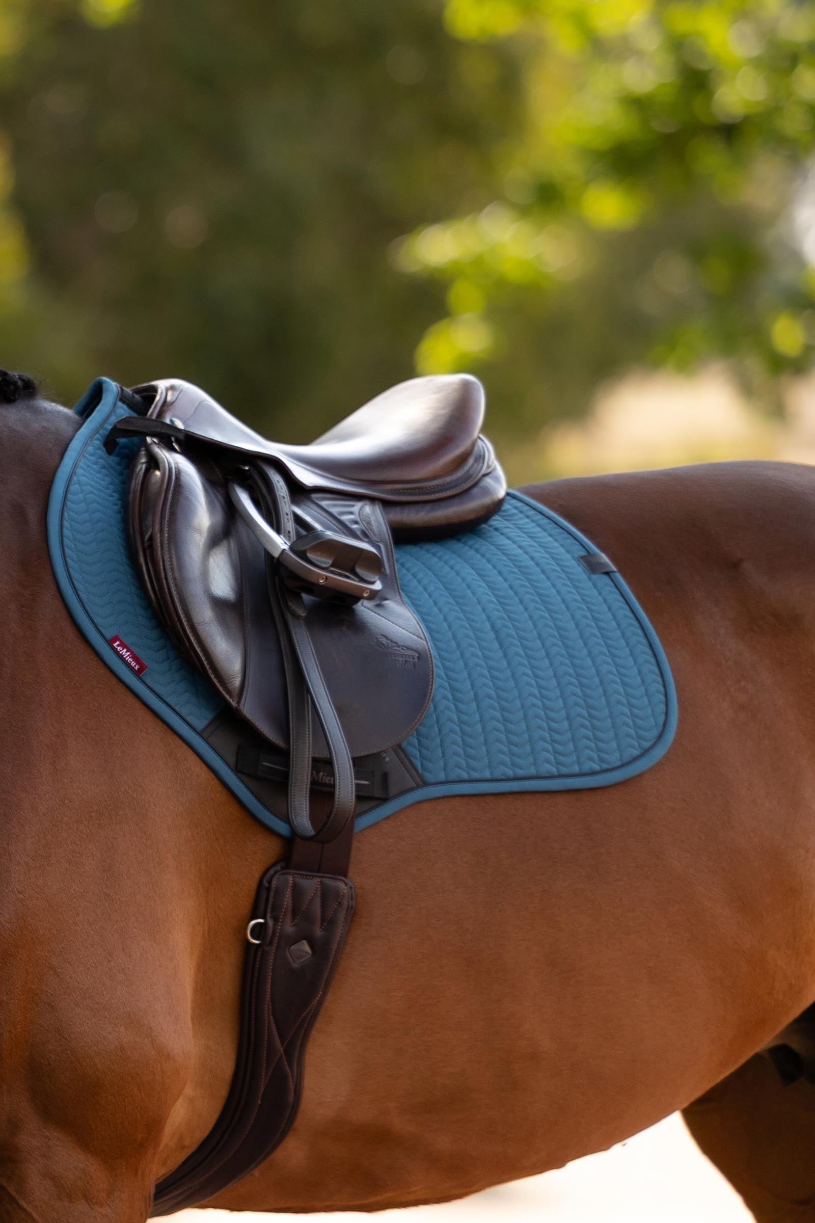 LeMieux Essence Eurojump Jumping Saddle Pad Saddle Pads