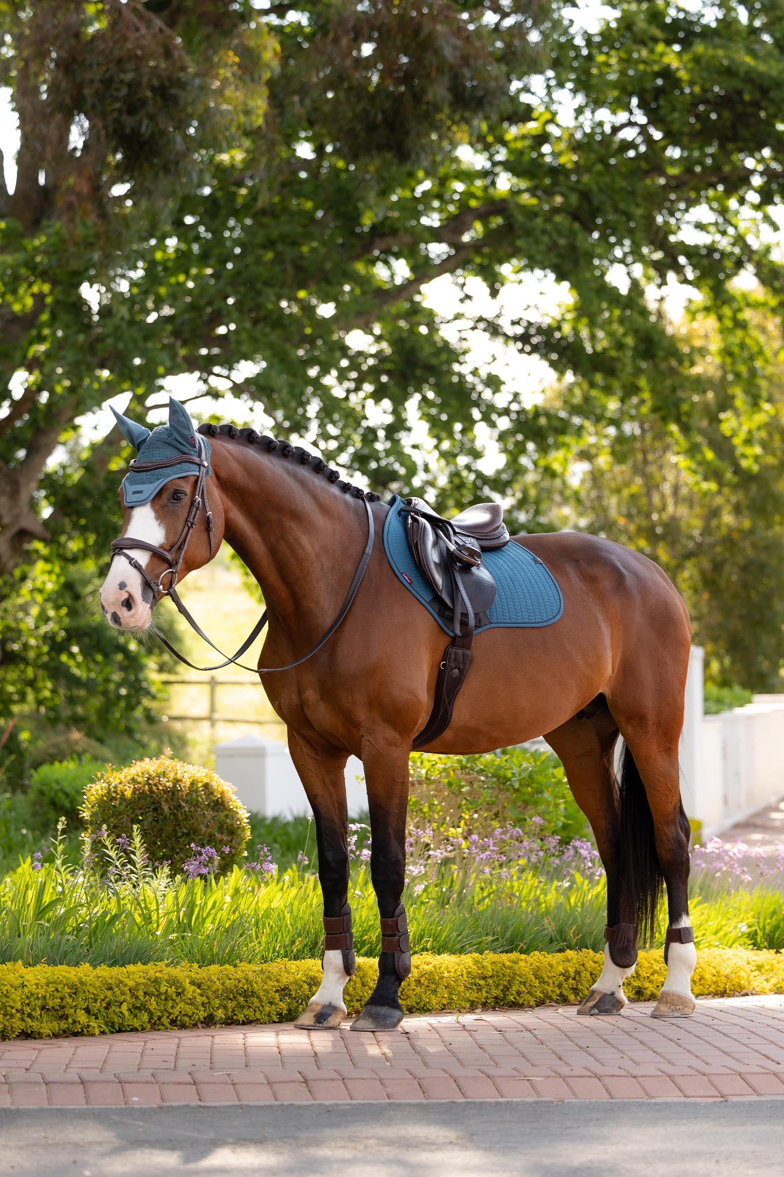 LeMieux Essence Eurojump Jumping Saddle Pad Saddle Pads