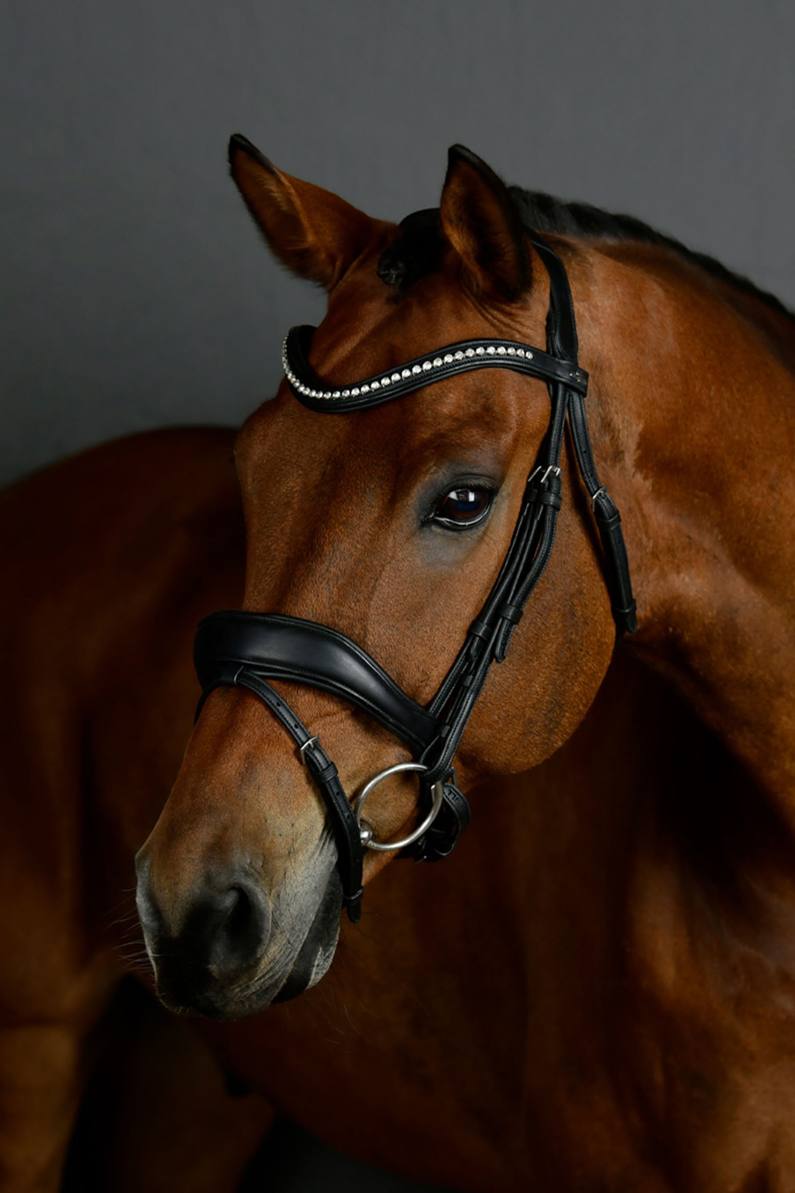 Collegiate Comfitec Opulux Padded Dressage Bridle Bridles & Reins