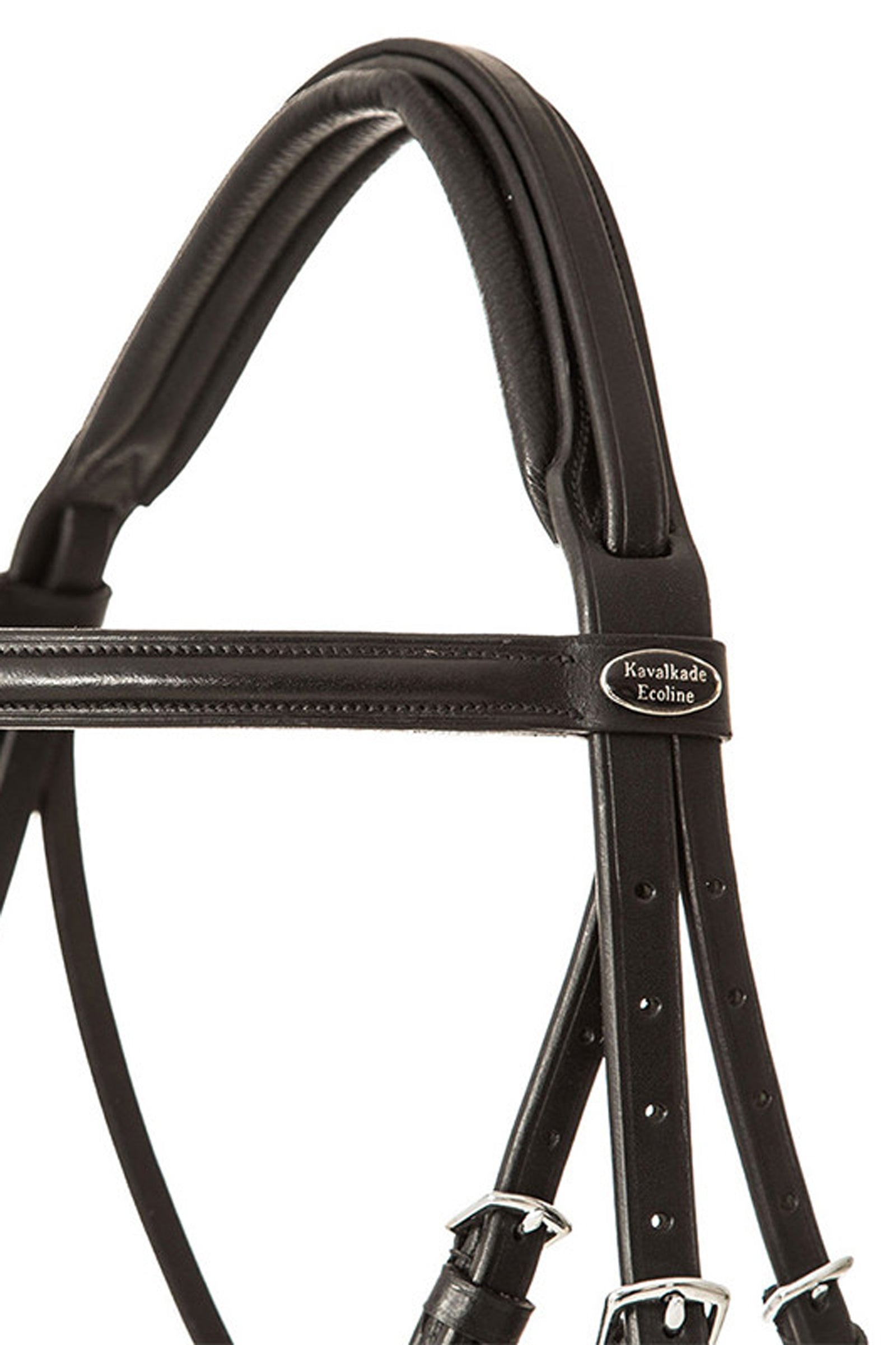 Kavalkade Bridle Quentin Ecoline, flash noseband Bridles & Reins