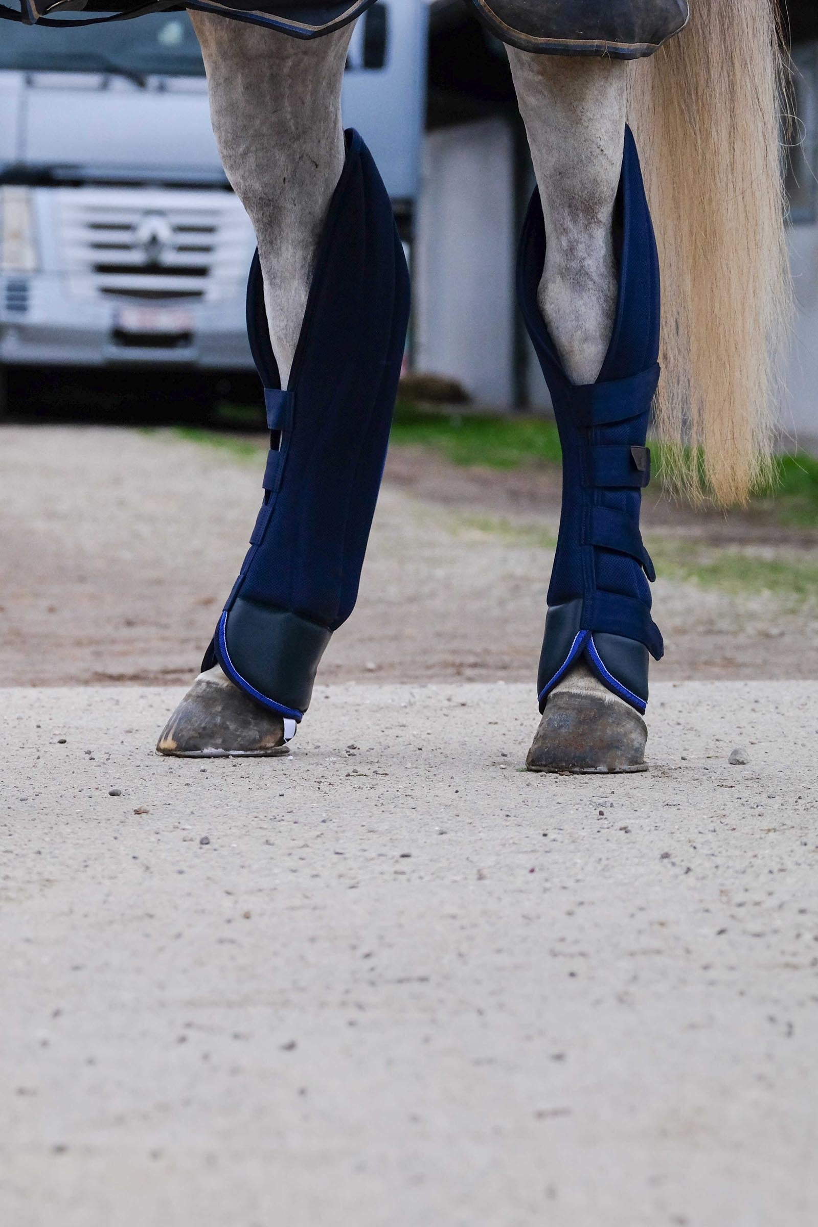 Equi Theme EQUITHÈME Classic Transport Boots Leg & Hoof Protection