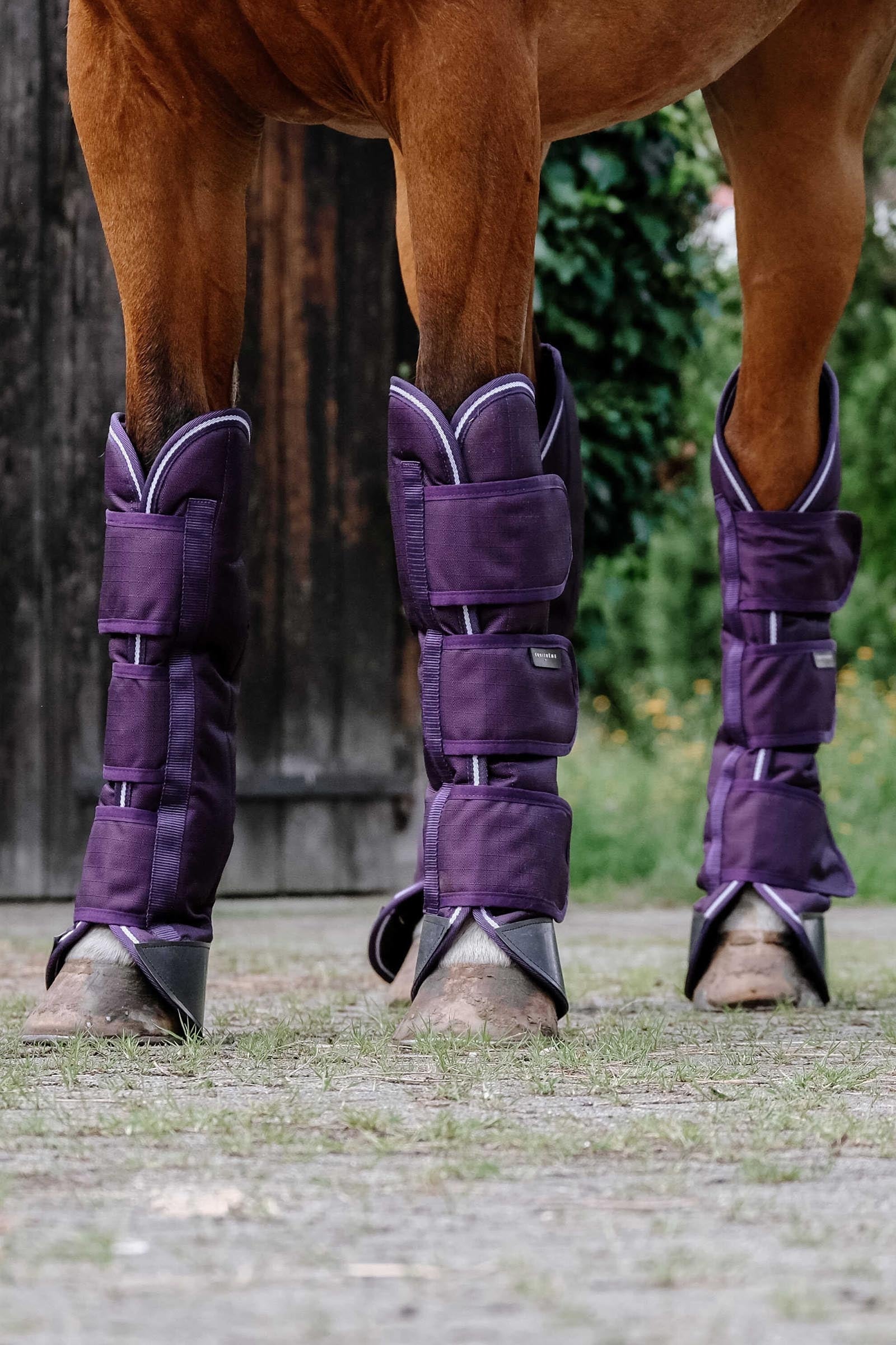 Equi Theme EQUITHÈME TYREX 600D Transport Boots Leg & Hoof Protection