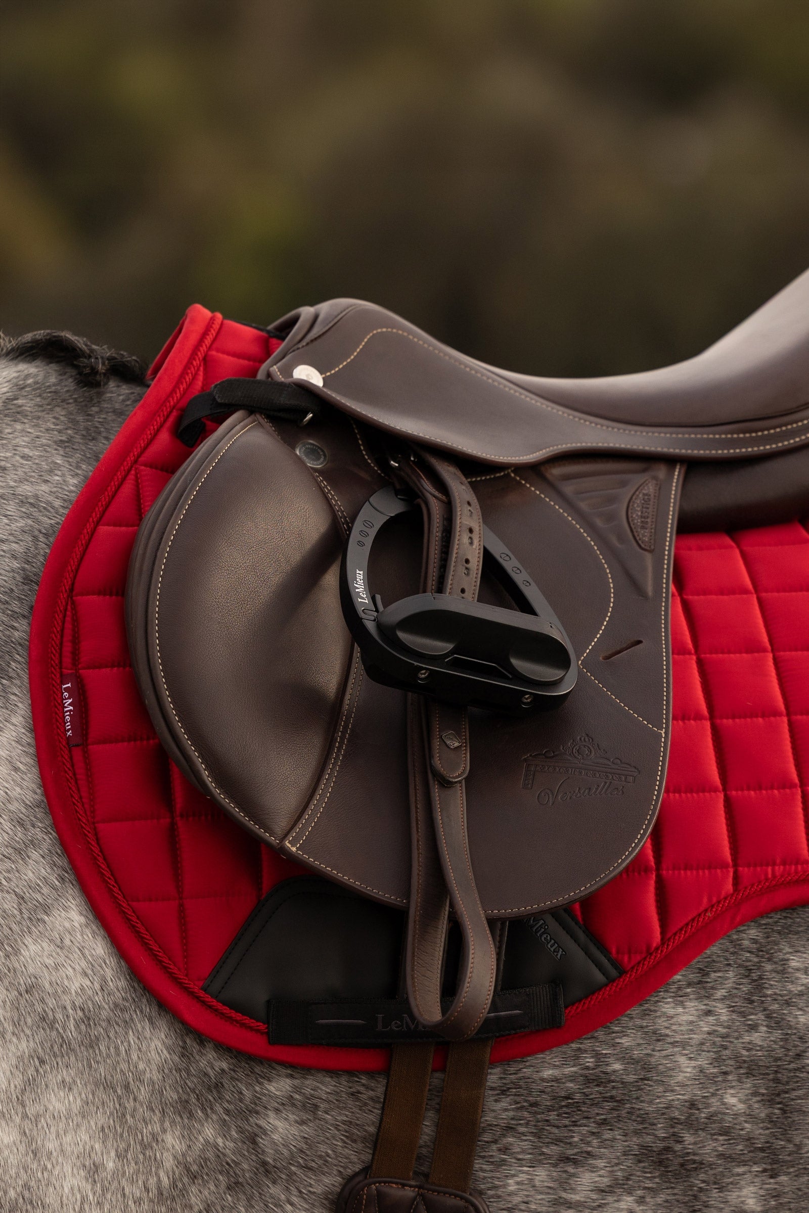 LeMieux Loire Classic GP Square Saddlepad Saddle Pads