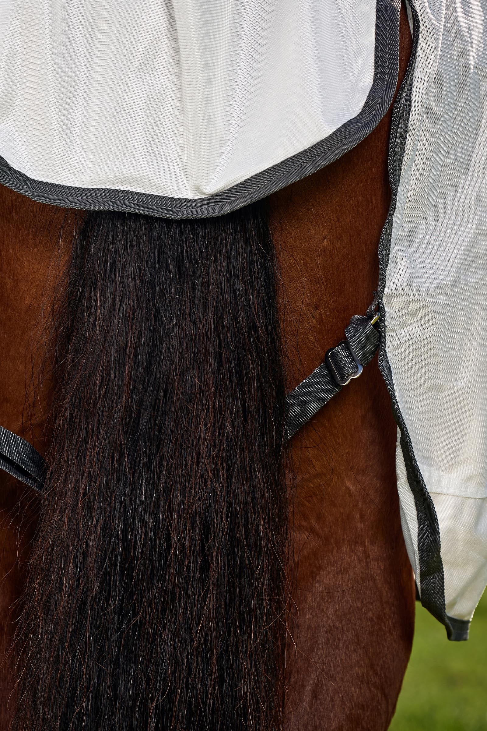 Weatherbeeta Comfitec Tyro Fly Sheet Combo W. Fixed Neck, 0g Horse Rugs