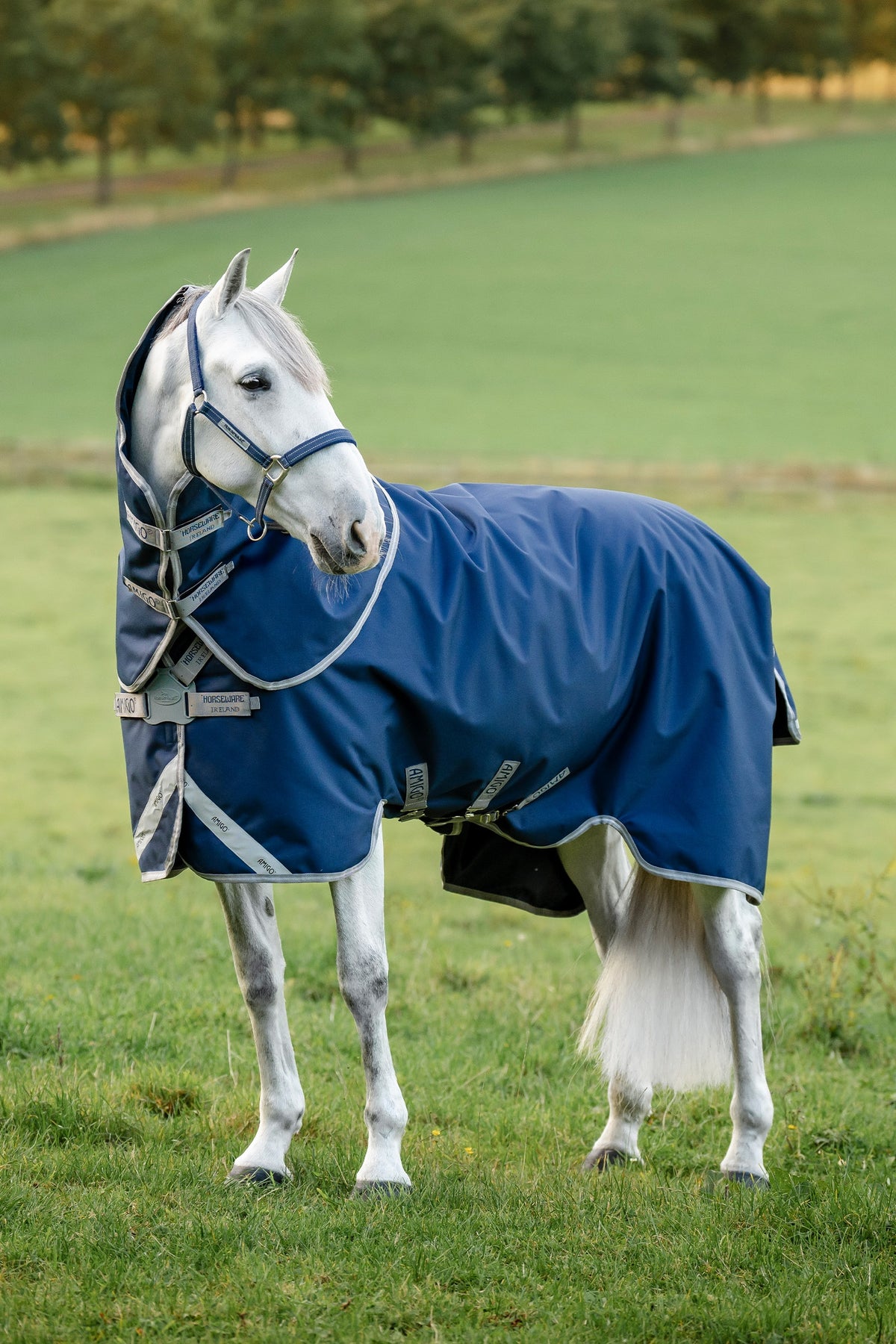 Horseware Amigo 1200D FieldSafe Plus Turnout With Detachable Neck, 50 g Horse Rugs