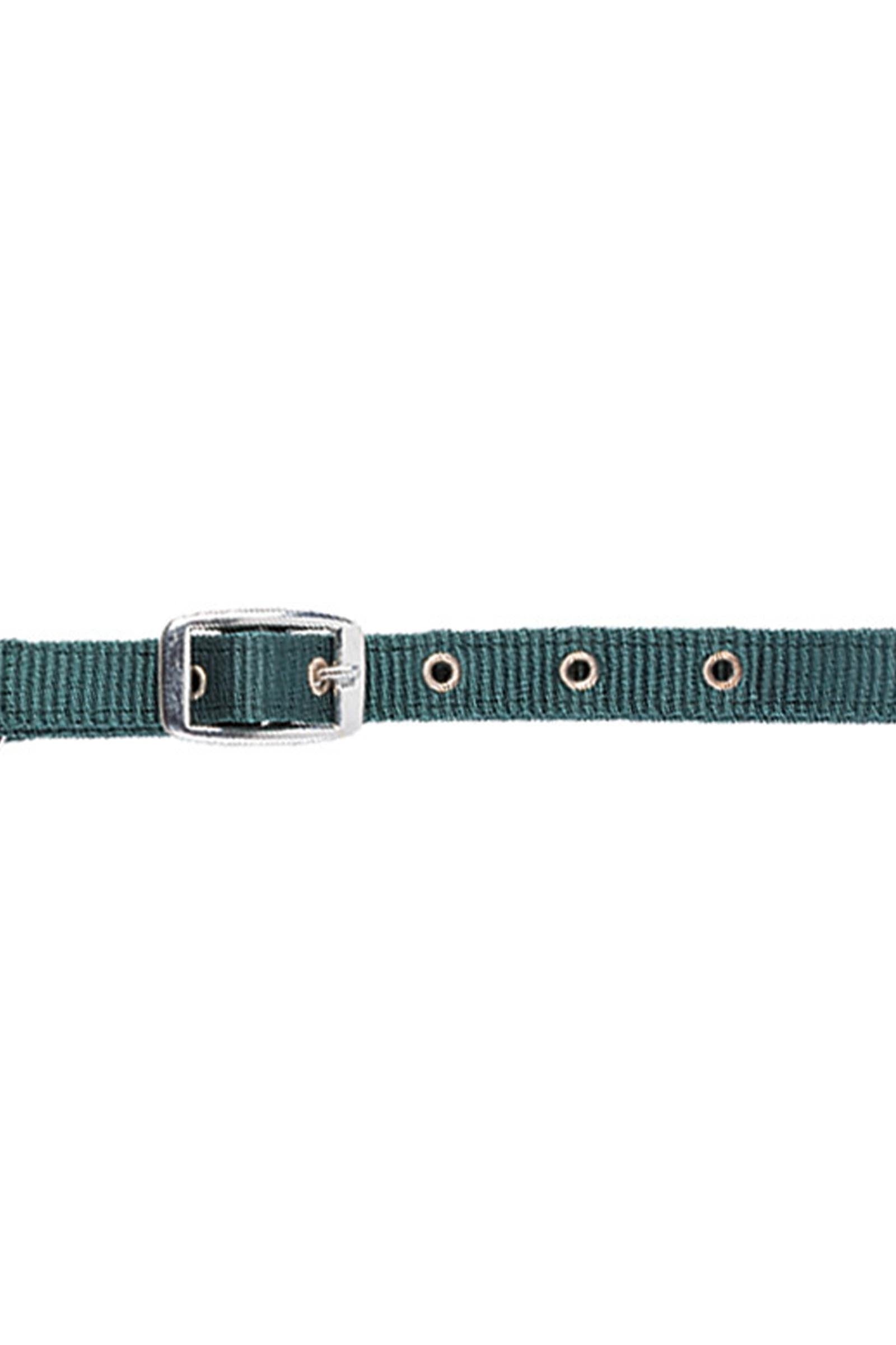 USG Adjustable Foal Halter Halters & Leads