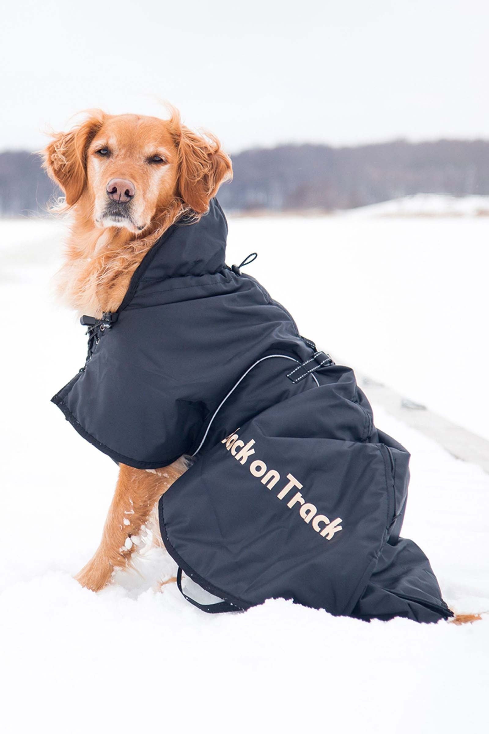 undefined Back on Track Dog Rug 21-40 Dog Accesories