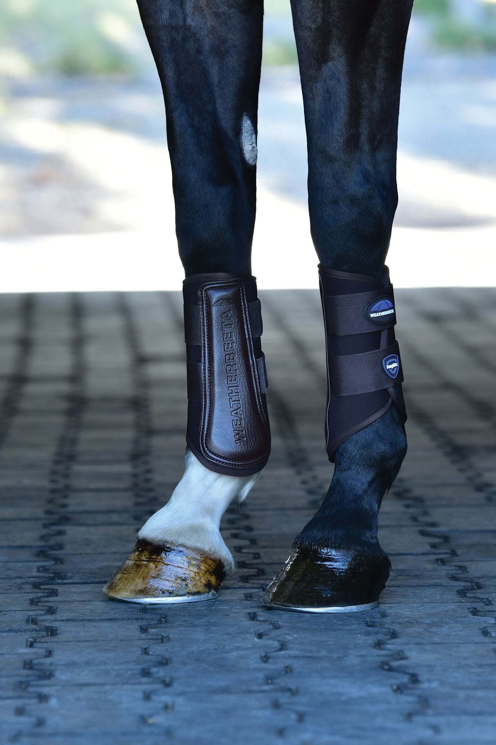 Weatherbeeta Tough-Tec Prime Brushing Boots Leg & Hoof Protection