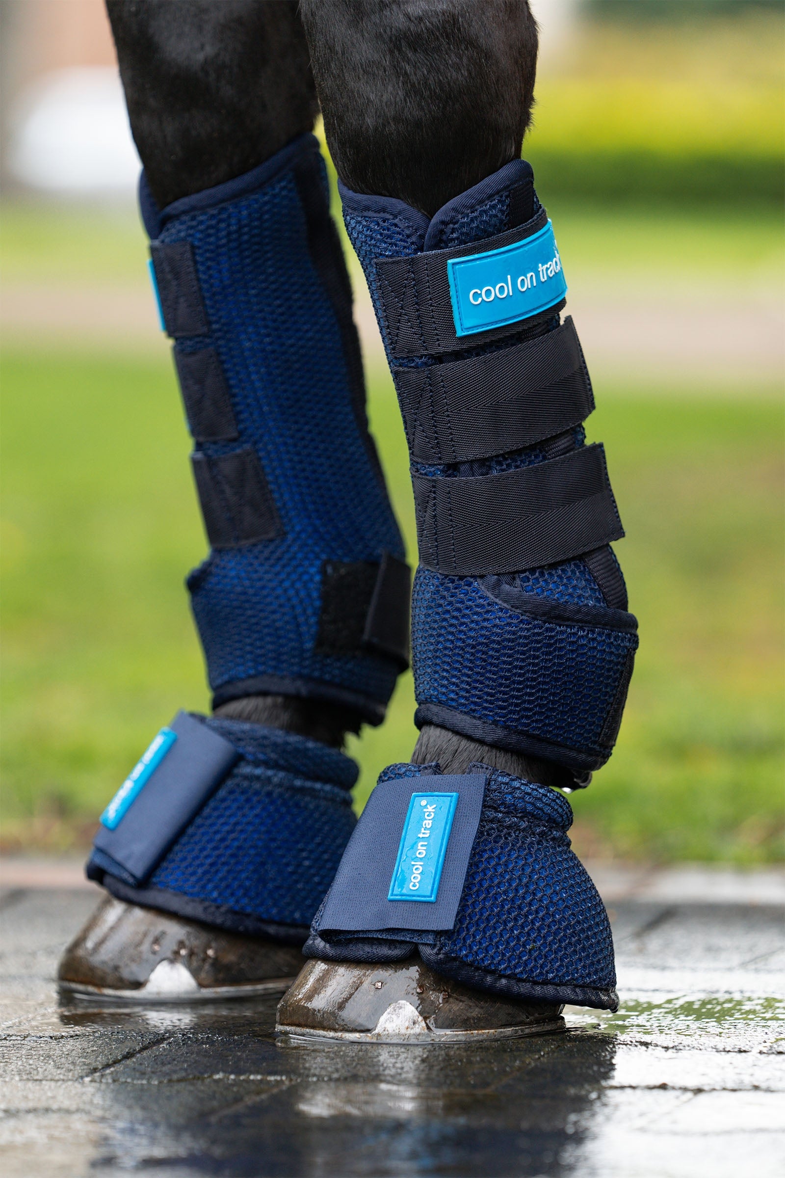 undefined Back on Track Cool on Track Quick wraps Leg Protection & Hoof Protection for Horses