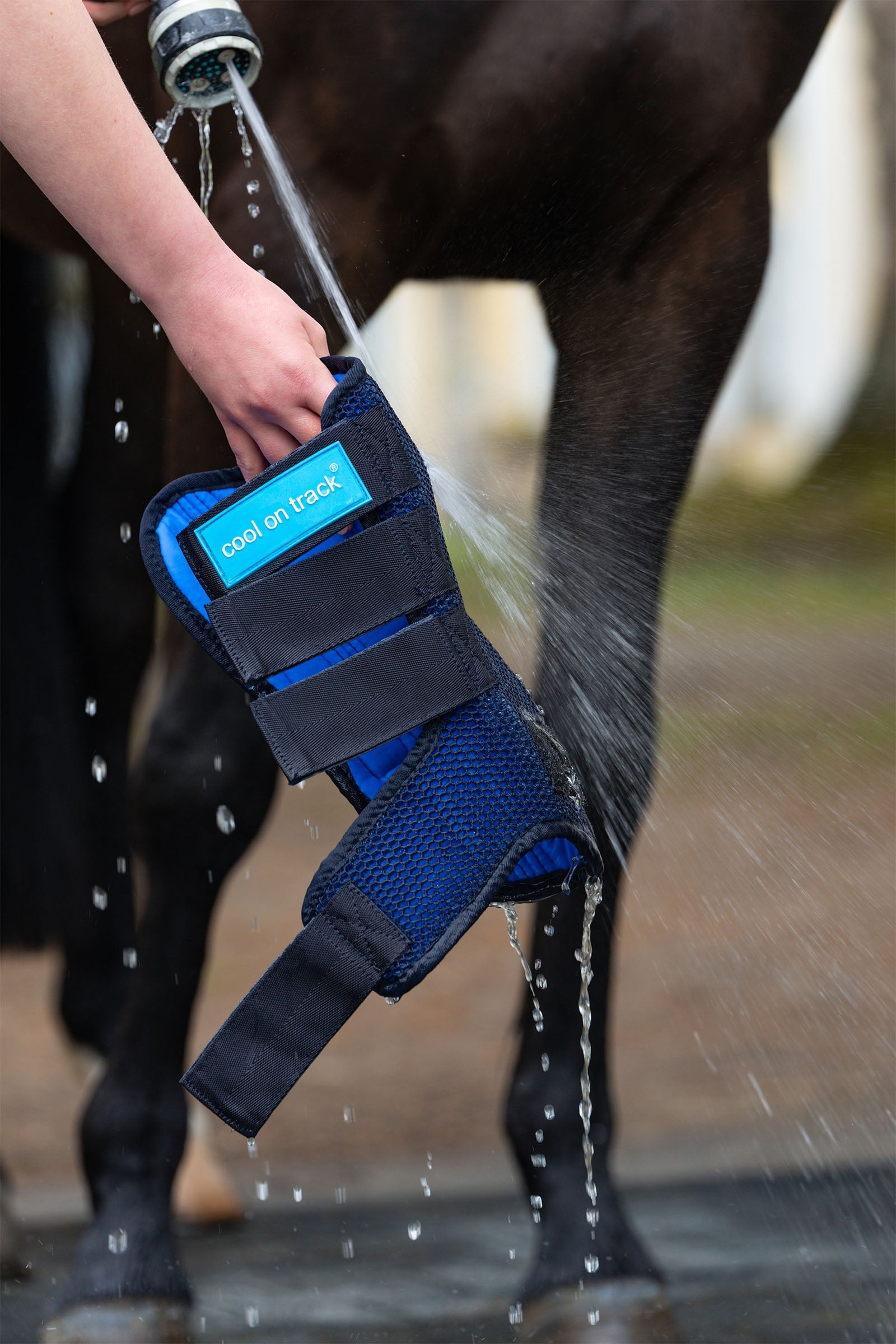 undefined Back on Track Cool on Track Quick wraps Leg Protection & Hoof Protection for Horses