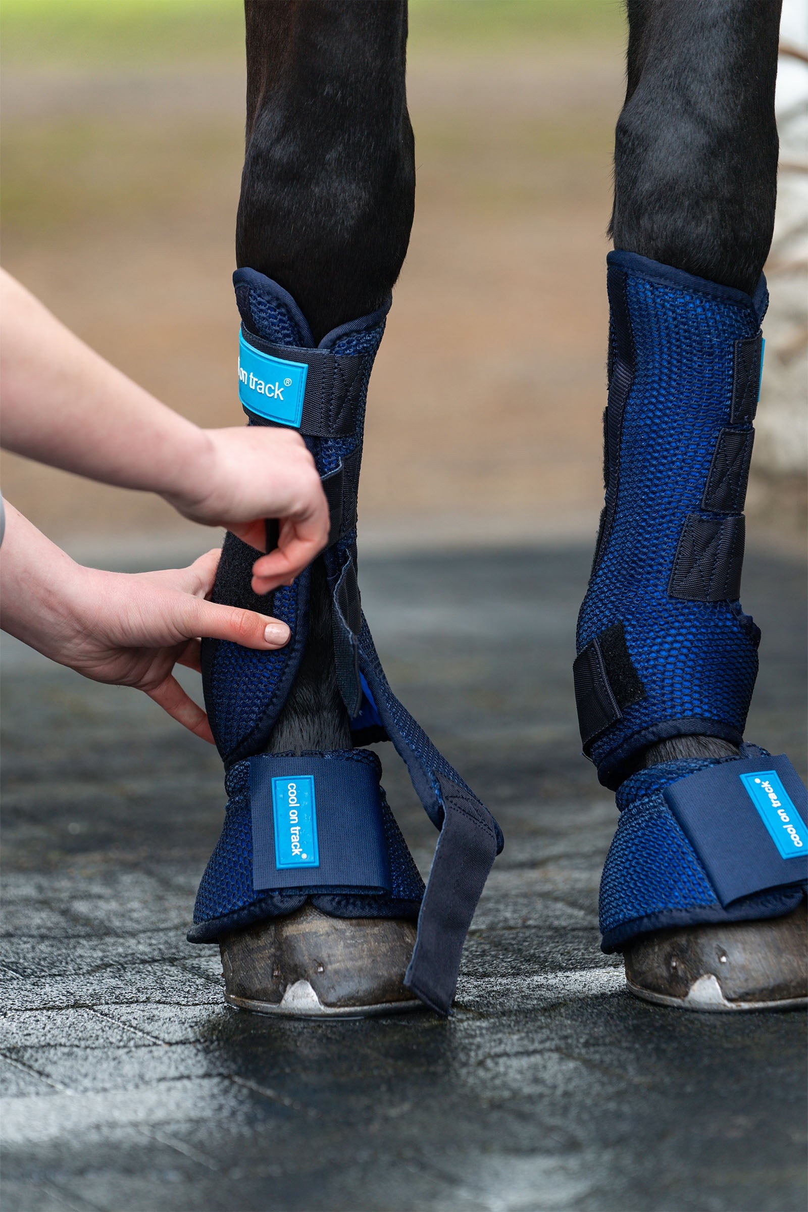 undefined Back on Track Cool on Track Quick wraps Leg Protection & Hoof Protection for Horses