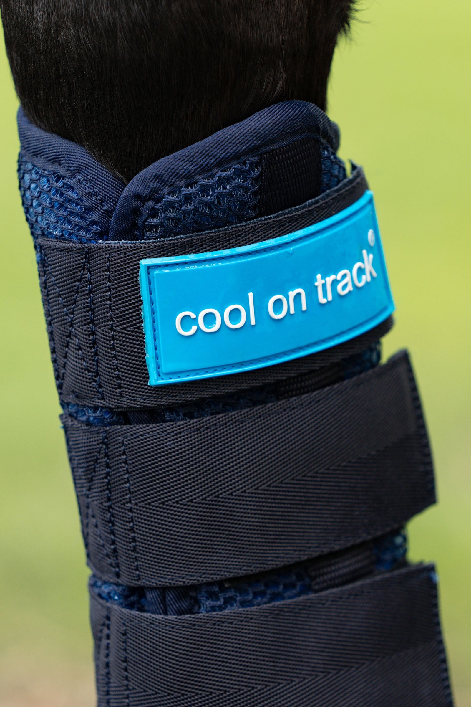 undefined Back on Track Cool on Track Quick wraps Leg Protection & Hoof Protection for Horses