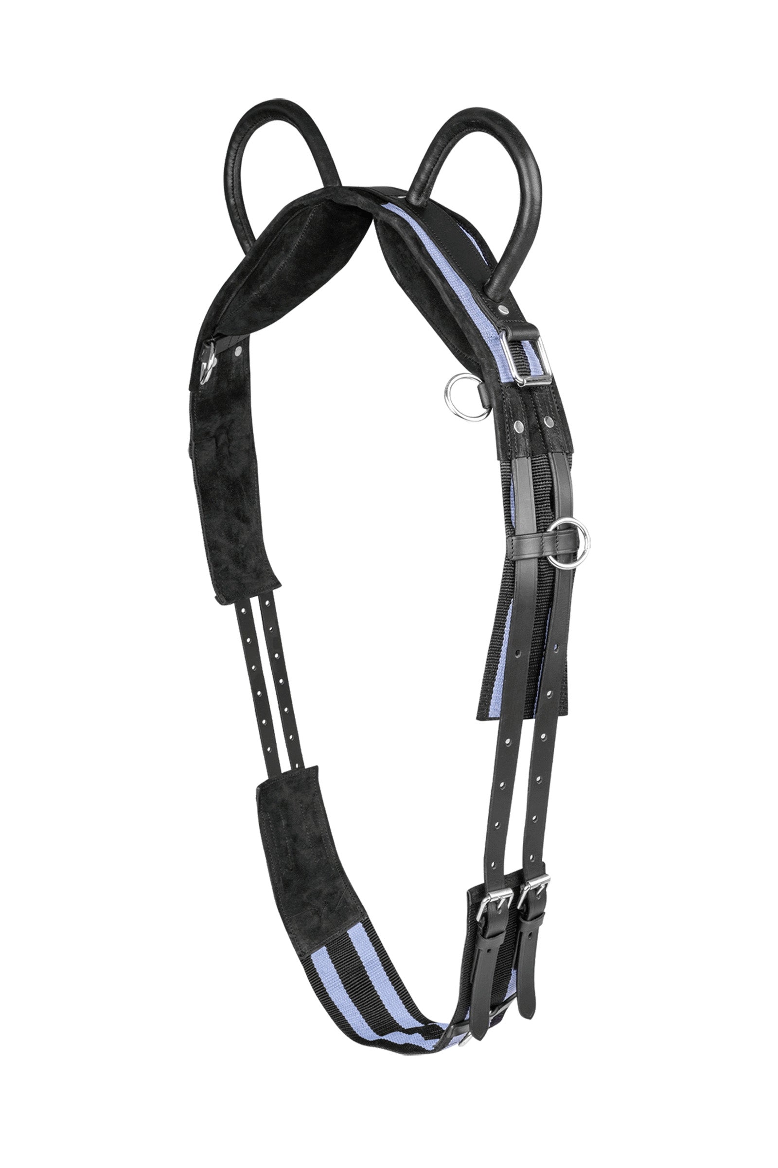 Waldhausen Surcingle with two handles Saddles, Girths & Stirrups