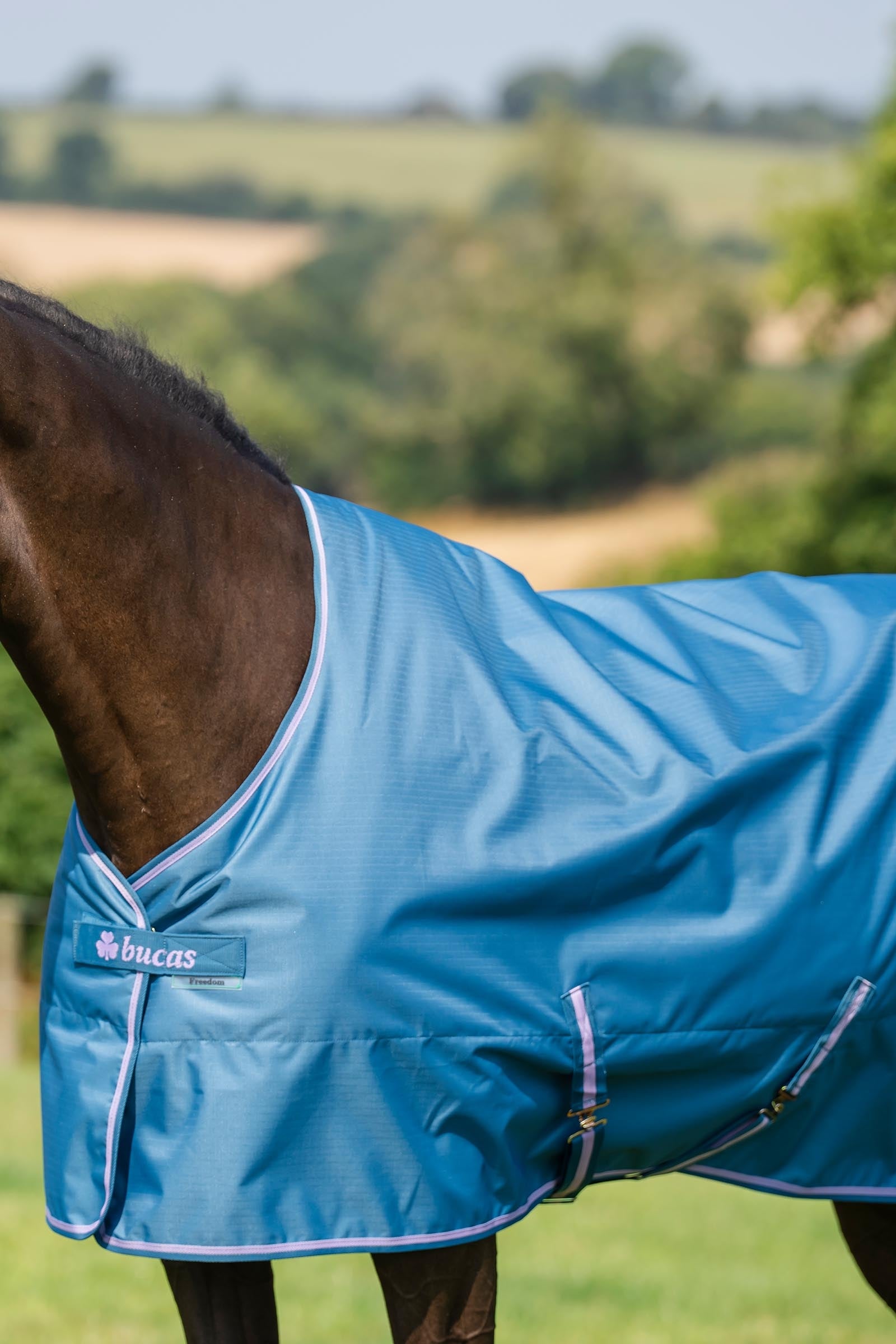 Bucas Freedom Turnout Rug, 300g Horse Rugs