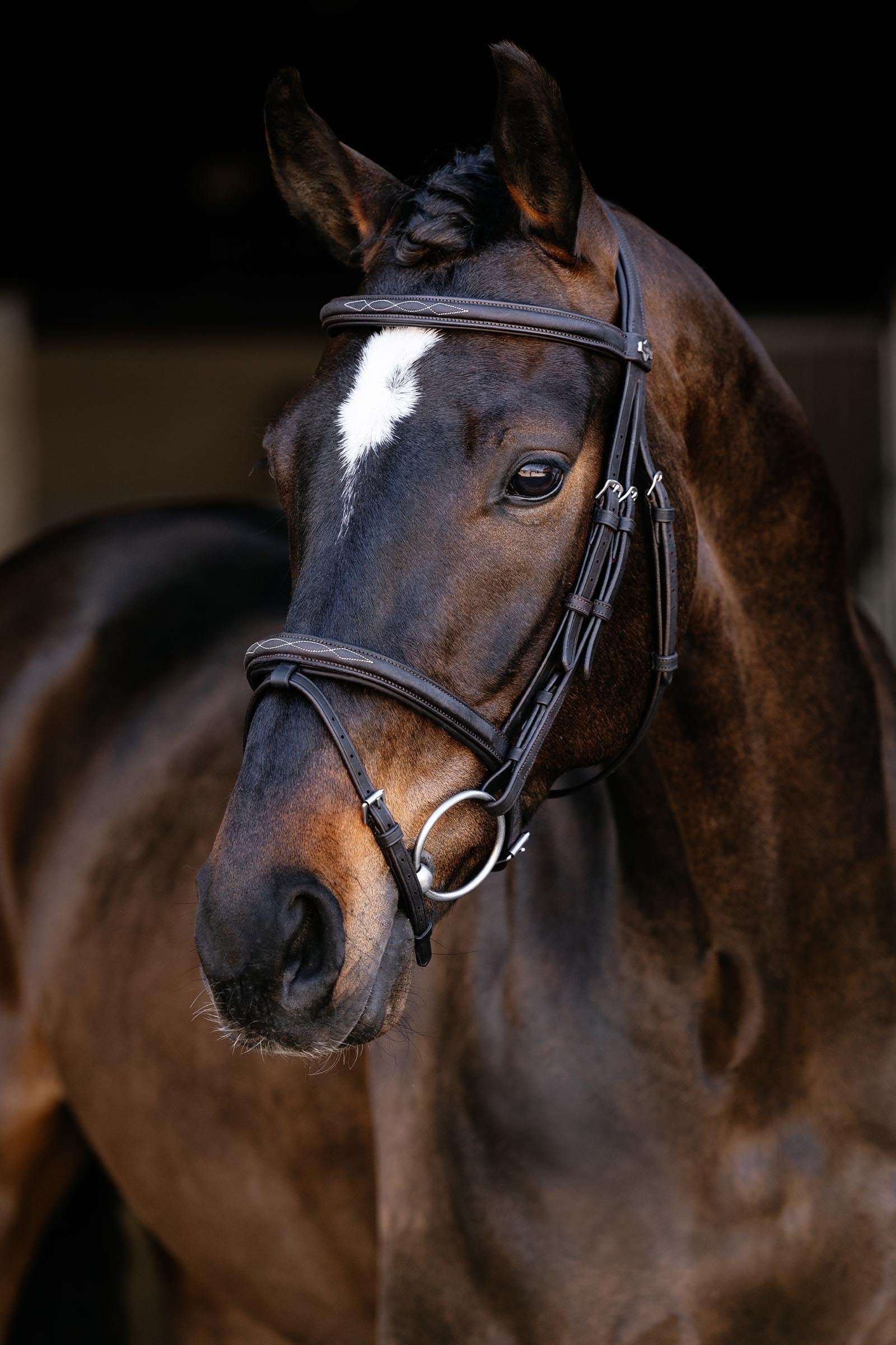LeMieux Classique Flash Bridle Bridles & Reins