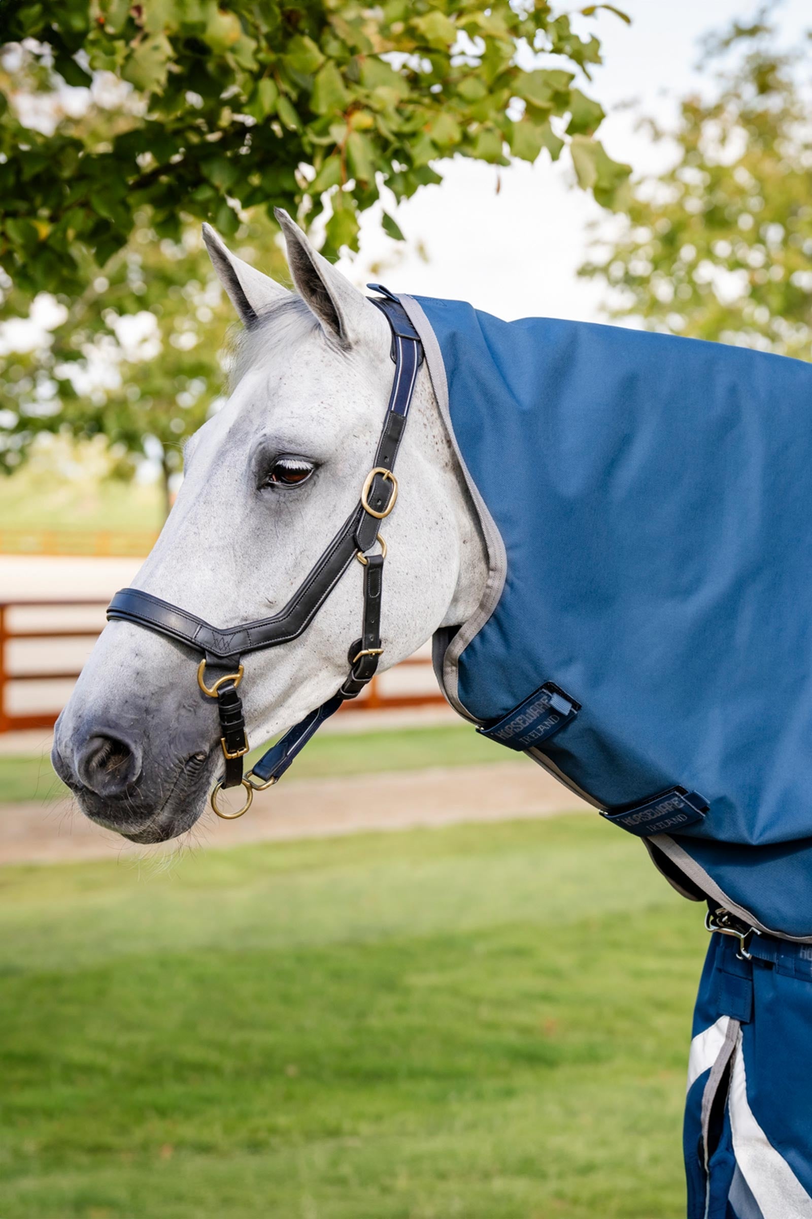 Horseware Ionic Therapy Turnout Hood 0g Horse Rugs