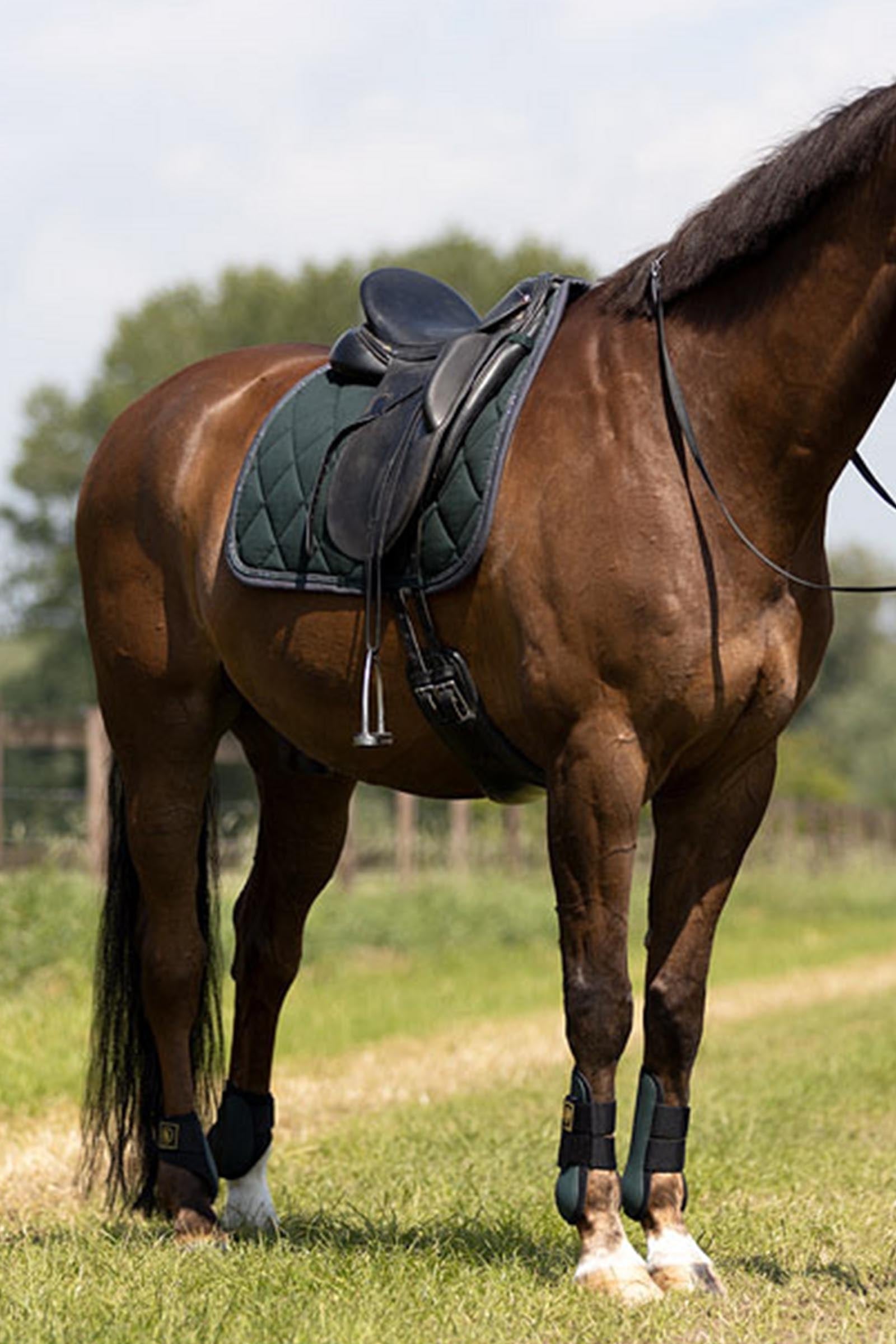 BR Event Non-Elastic Fetlock Boots Leg & Hoof Protection