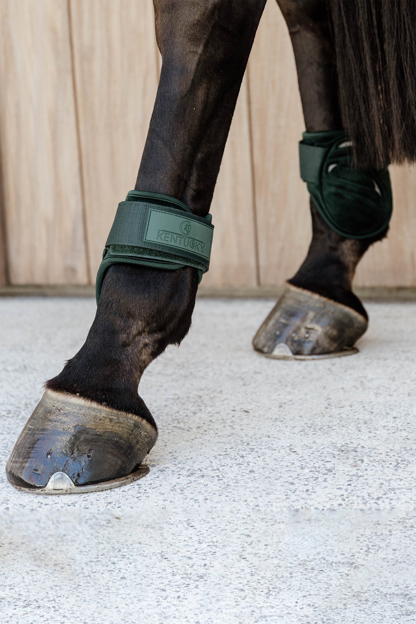 Kentucky Horsewear Velvet Young Horse Fetlock Boots Leg Protection & Hoof Protection for Horses