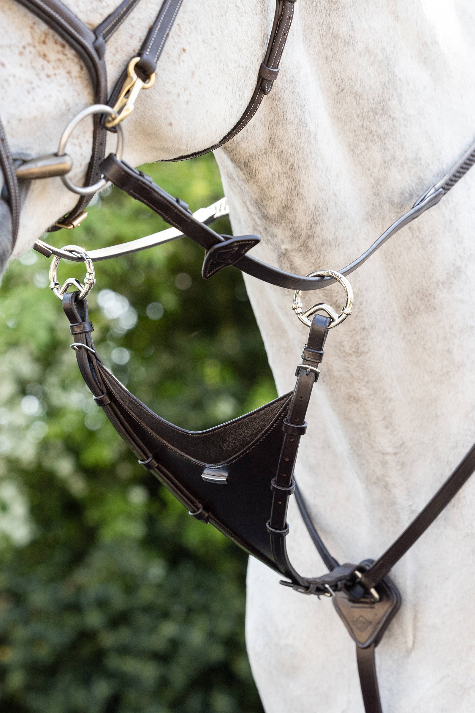 LeMieux Bib Martingale Attachment Bridles & Reins