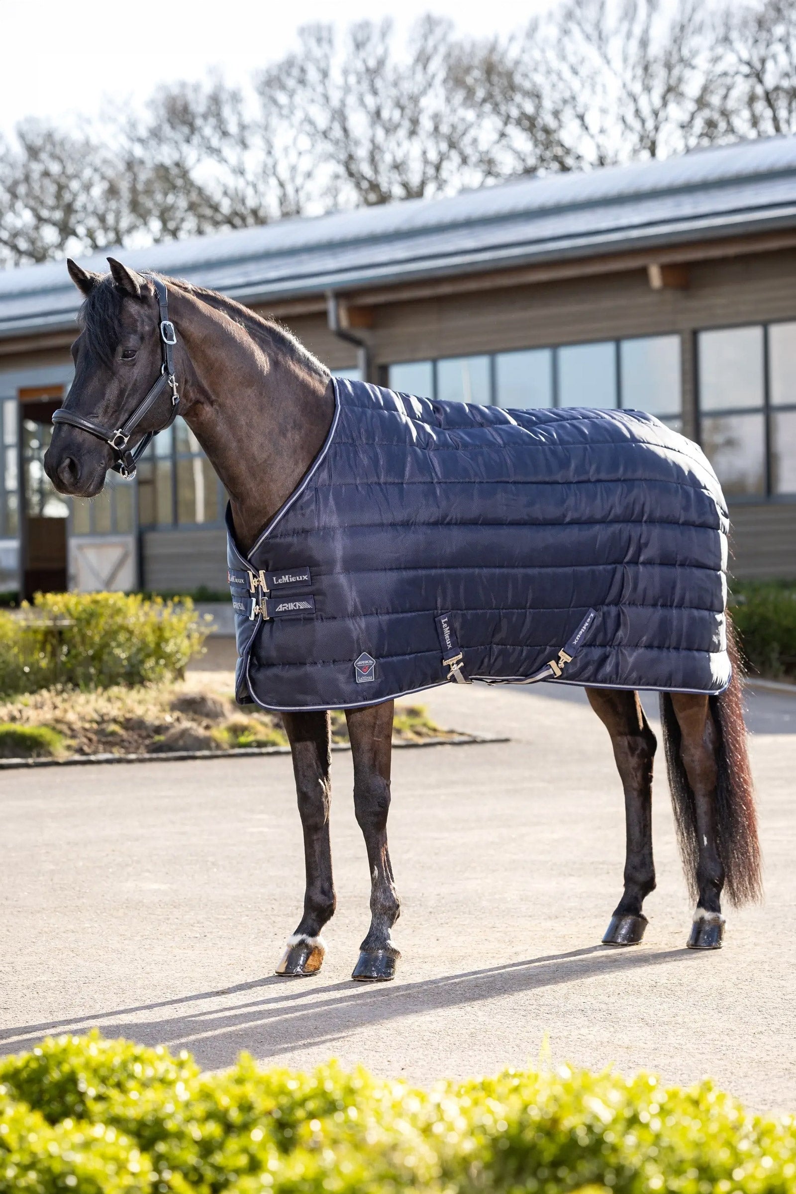 LeMieux Arika Stable-Tek Stable Rug, 350 g Horse Rugs
