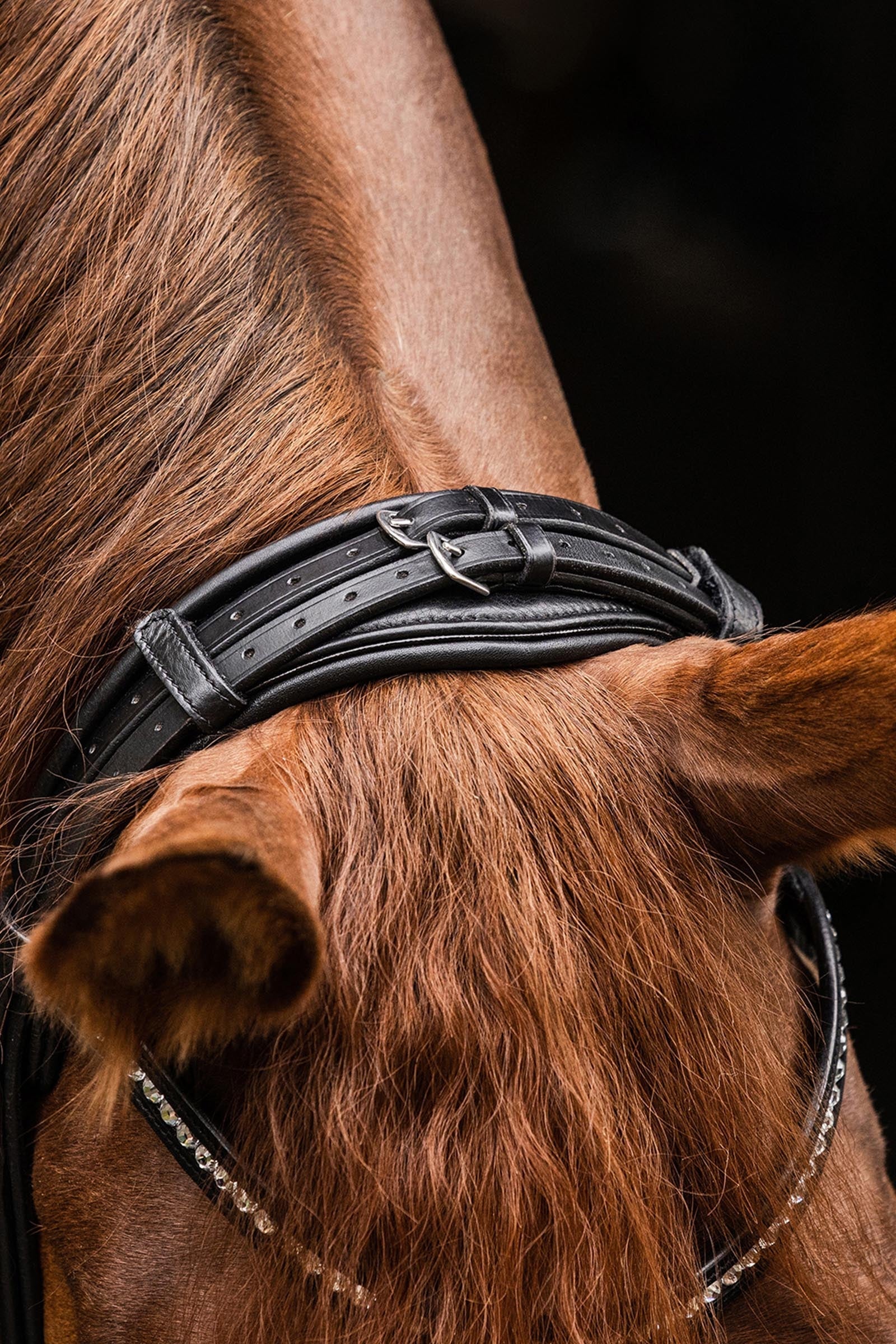 Waldhausen S-Line Bridle Magic Bridles & Reins