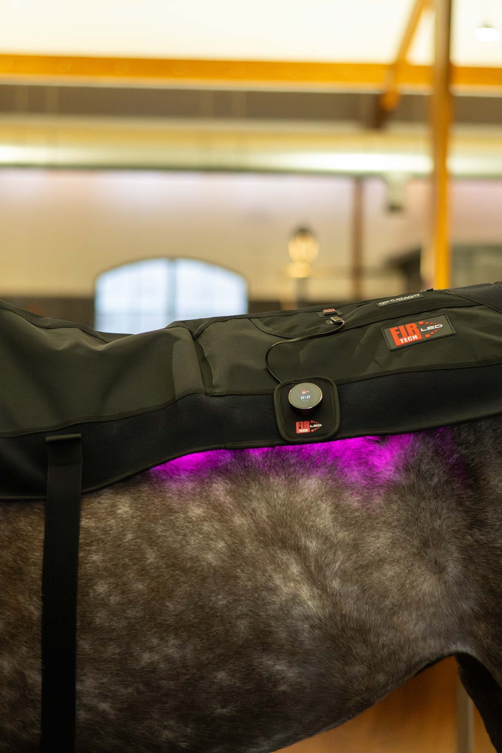 Catago CATAGO FIR-Tech LED pad Horse Rugs