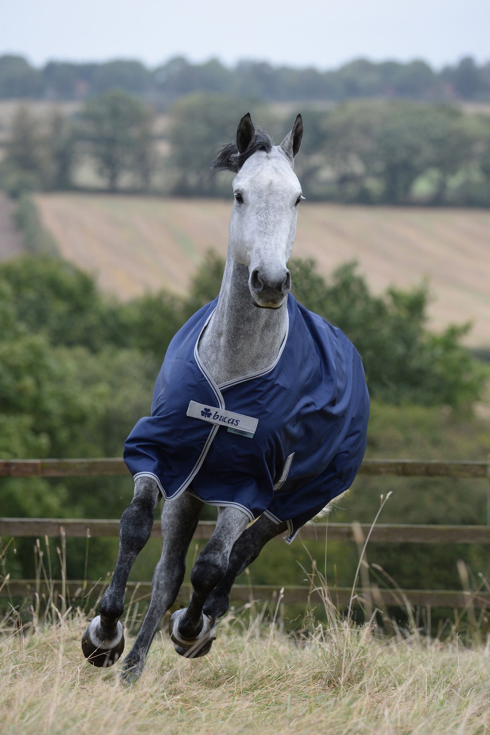 Bucas Freedom Turnout Rug, 150g Horse Rugs