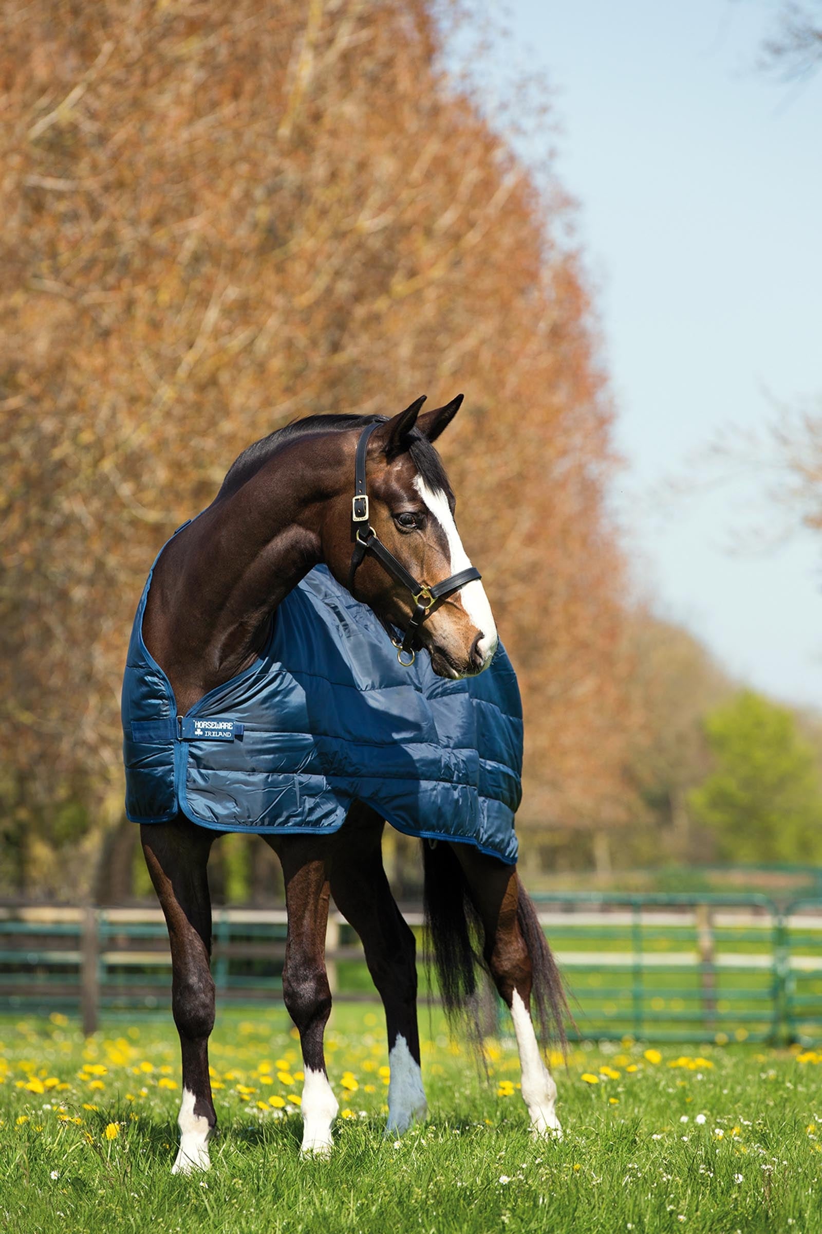 Horseware Liner 400g Horse Rugs