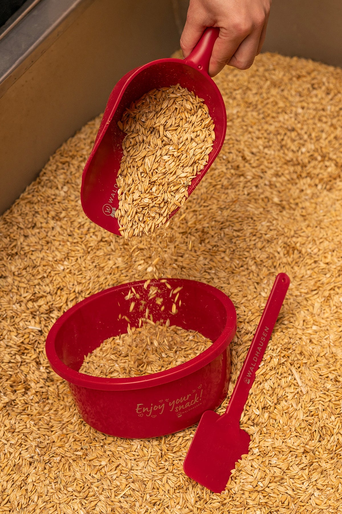 Waldhausen Small Feeding Bowl With Lid, 2 L Horse Feeders & Waterers