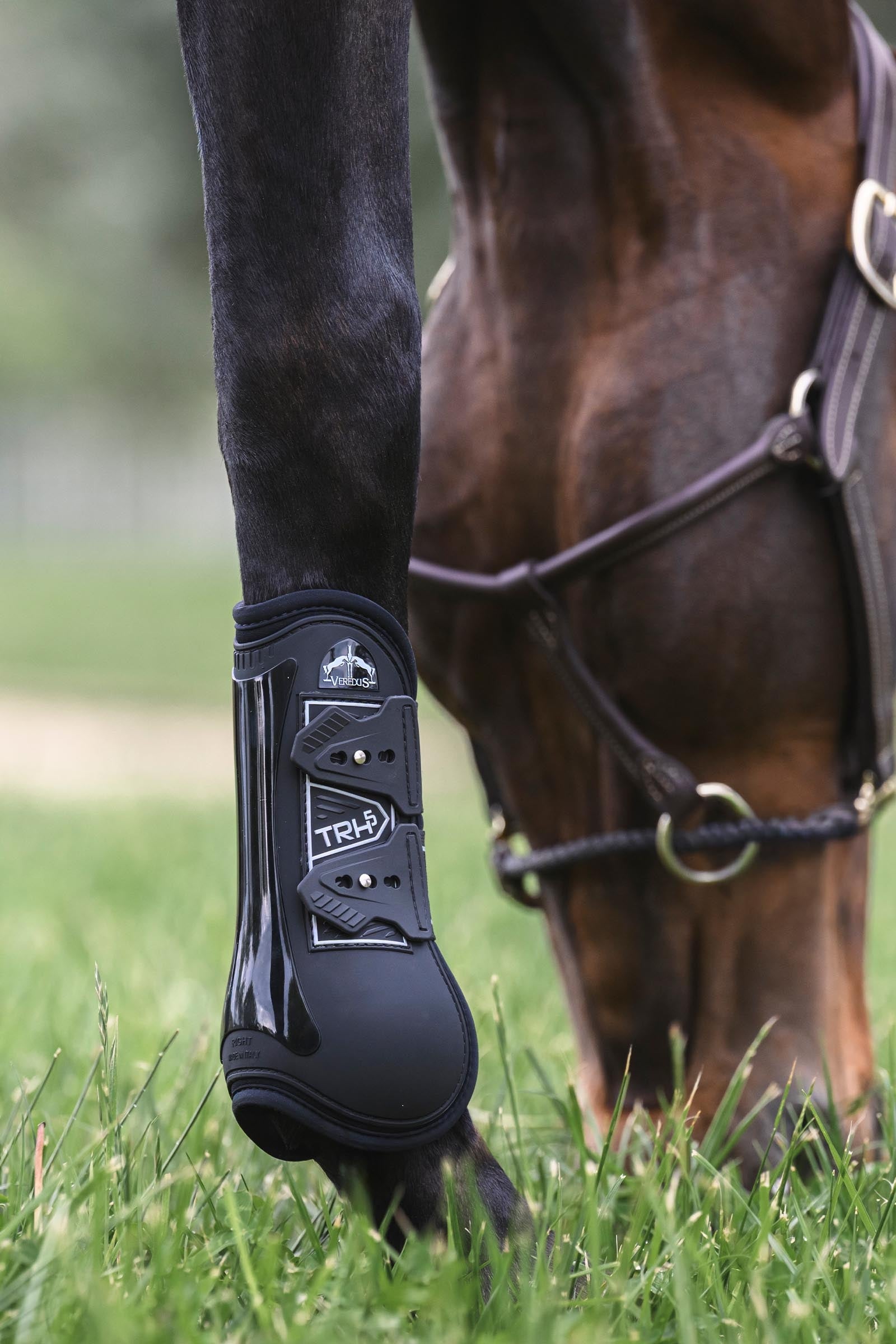 Veredus TRH5 Front Tendon Boots Leg & Hoof Protection