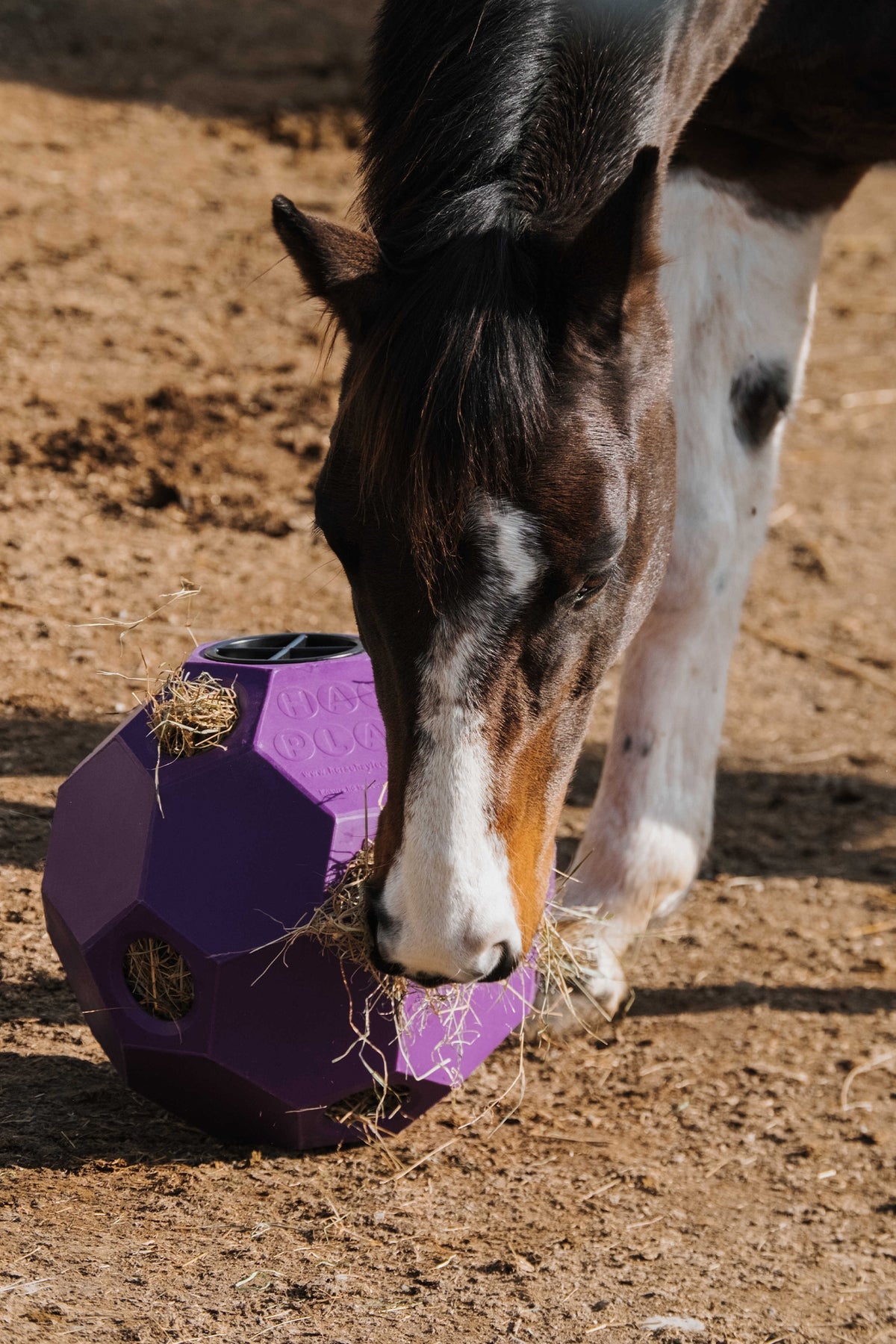 HIPPOTONIC Slow Feeder Hay Ball Horse Toys & Riding Arena Supplies