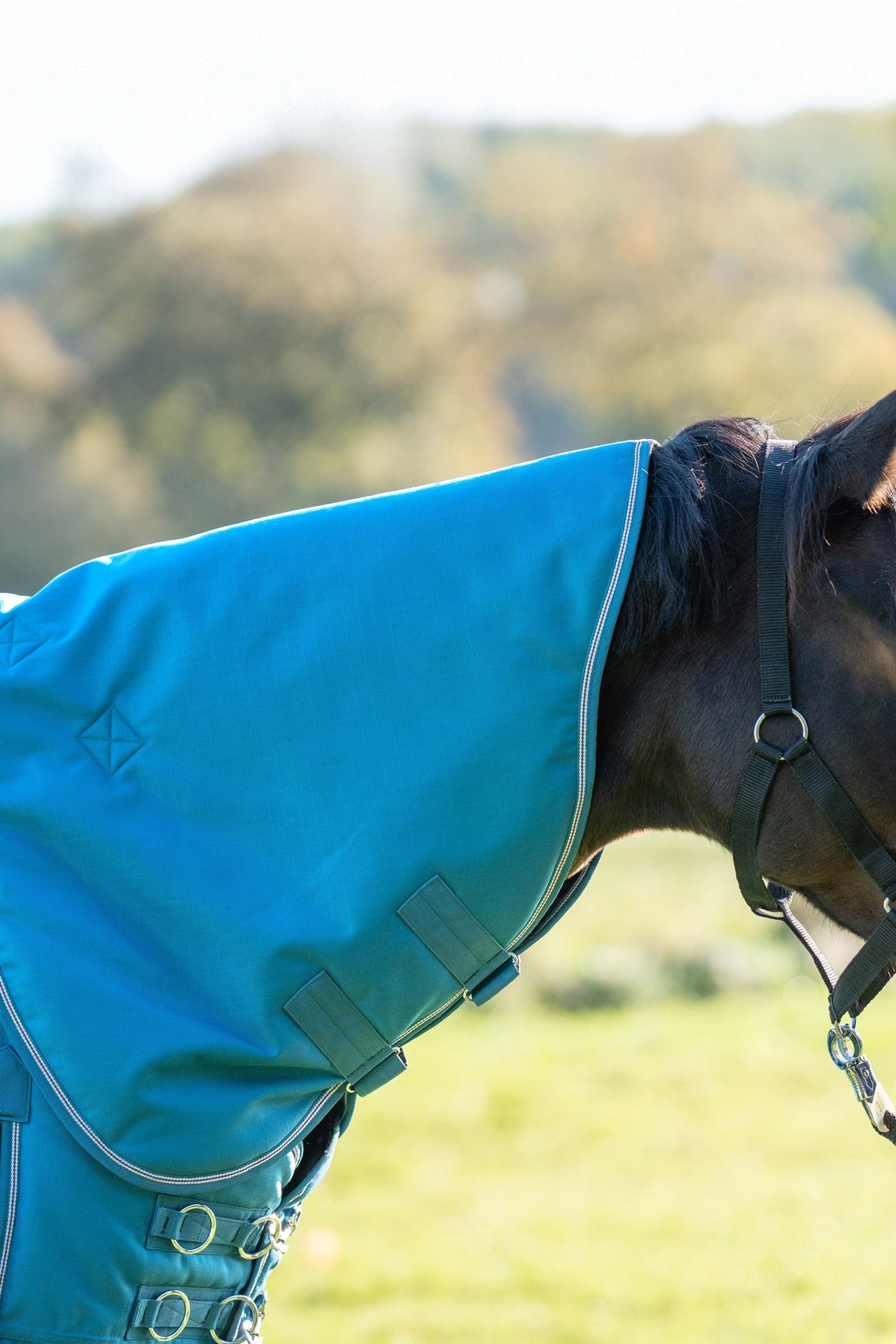 Kavalkade Neck for Alaska IV, 100 g Horse Rugs