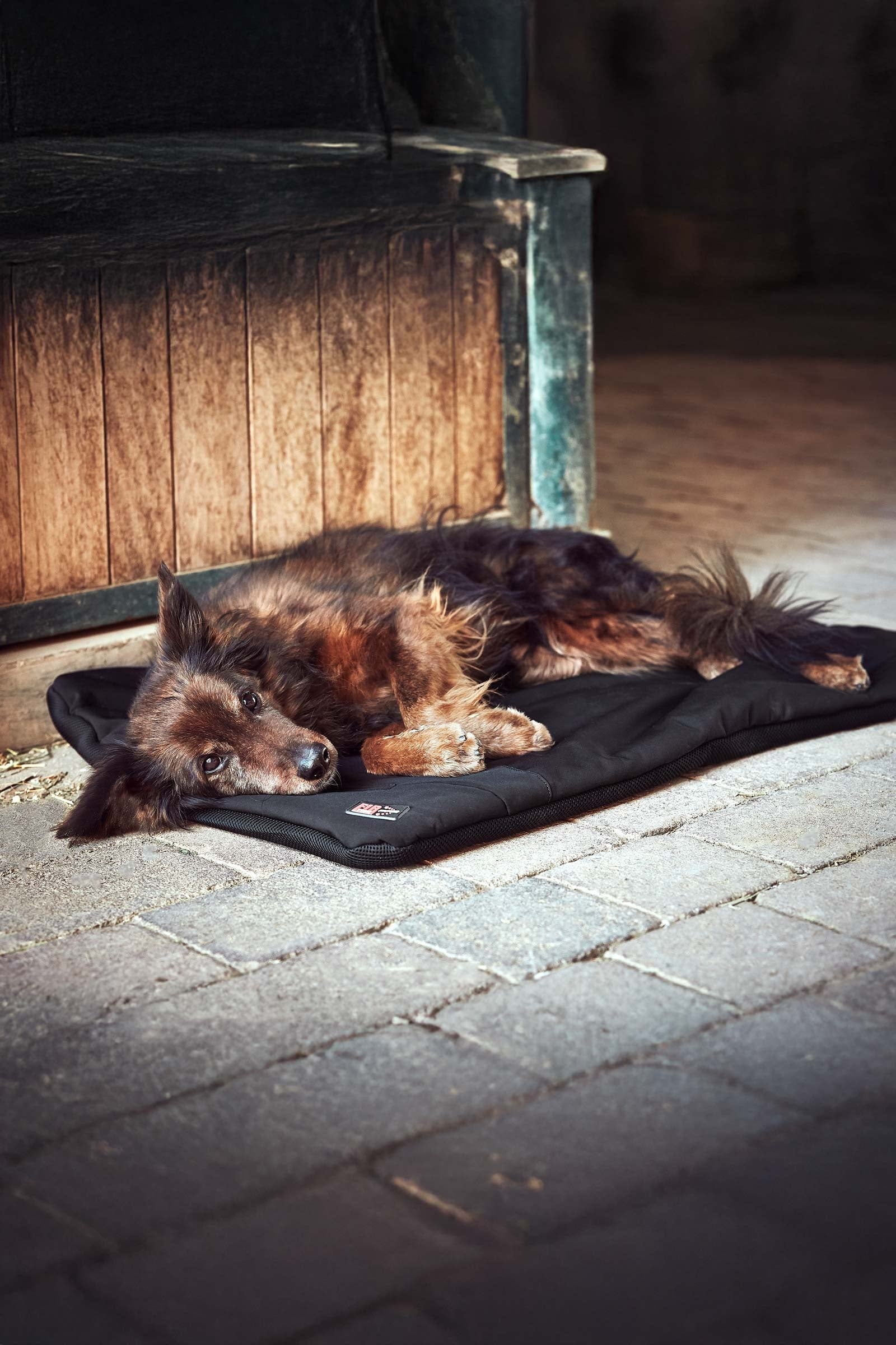 Catago CATAGO FIR-Tech Pro Heatable Dog Pillow Dog Accesories